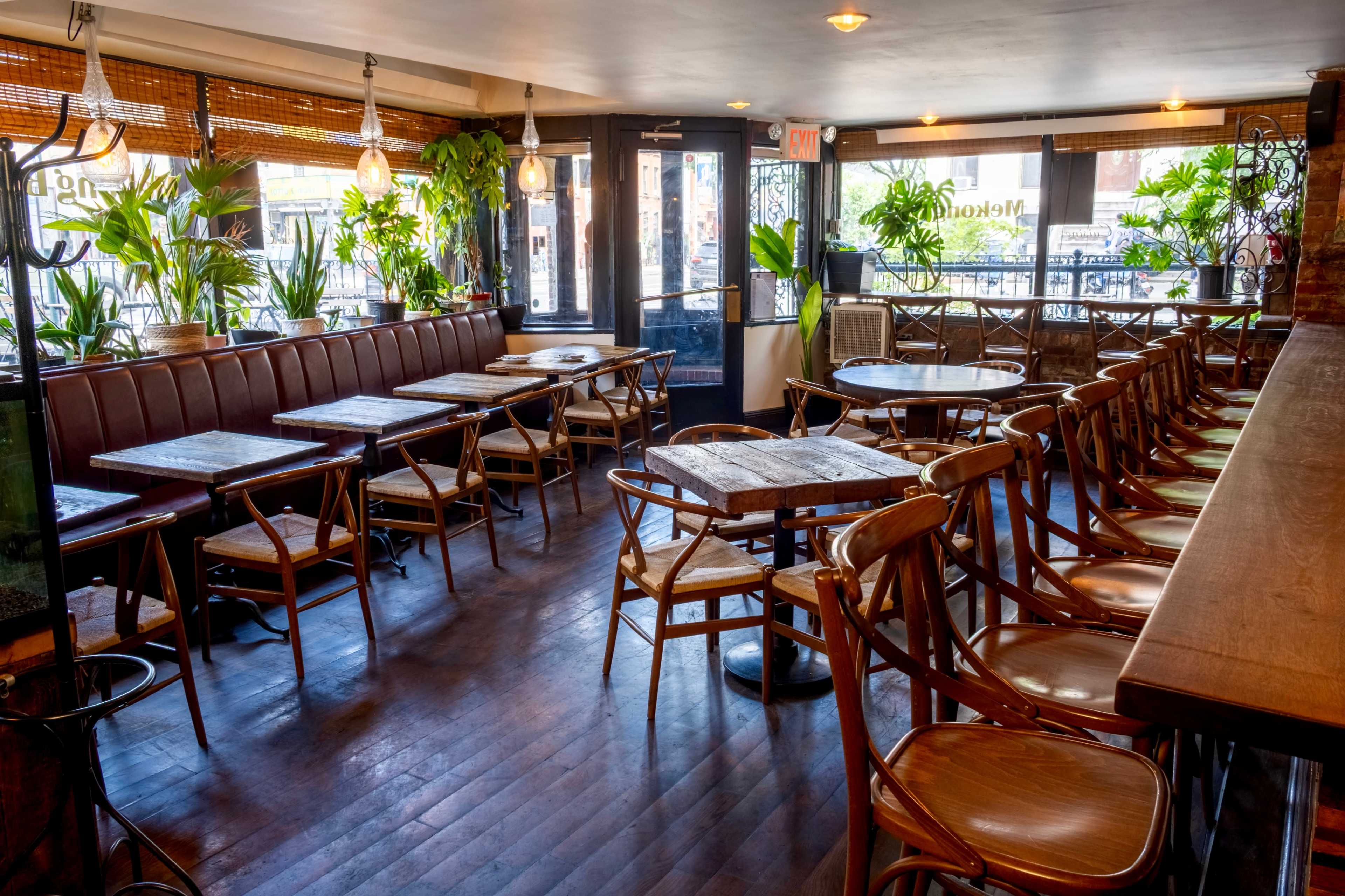 The image shows a cozy restaurant interior with wooden tables, chairs, and numerous green plants lining the windows.