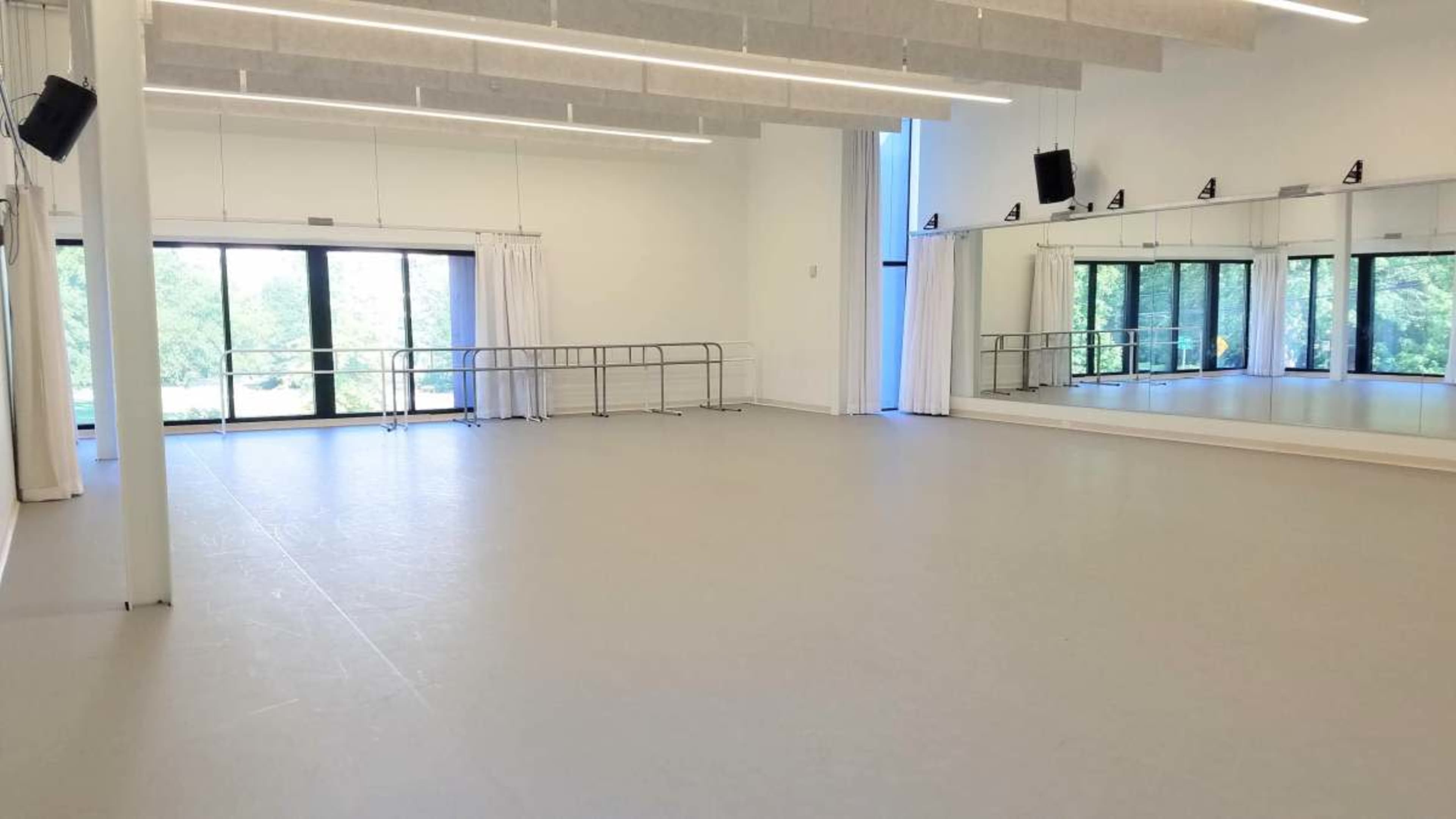 Modern & Beautiful Marley Floor Dance Studio Image in Edgewood, Atlanta, GA