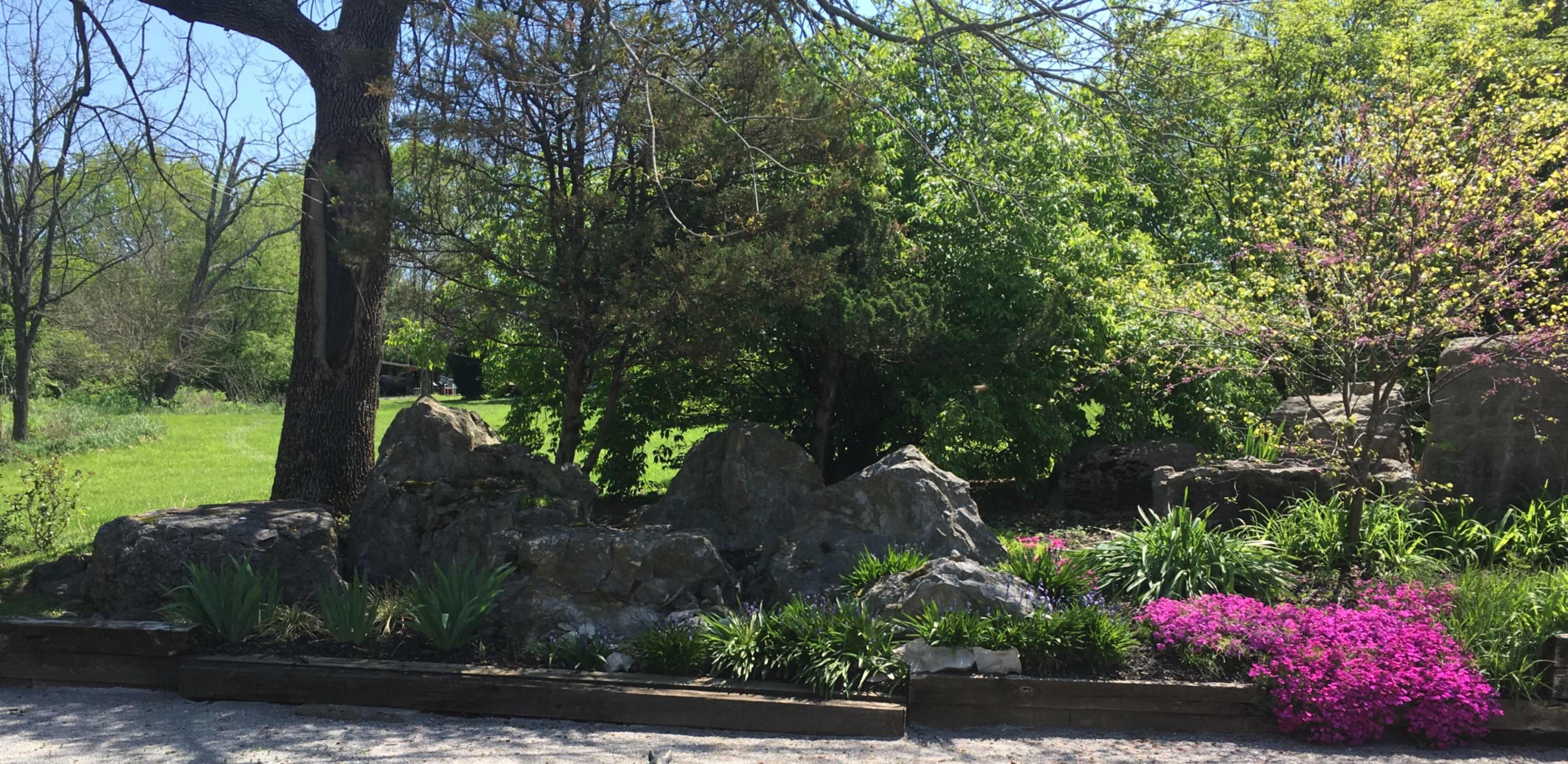 A rocky landscape features a garden bed with purple flowers and green foliage under a clear sky.