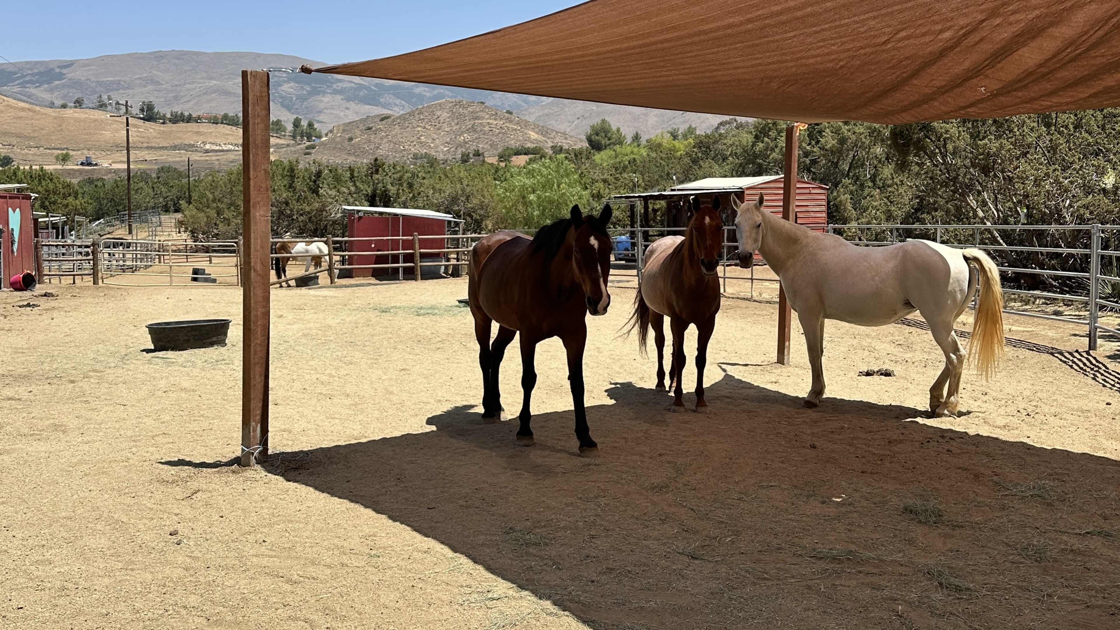 Desert Getaway for your photo shoots, hub, office space, basecamp, art studio Image in Agua Dulce, Agua Dulce, CA