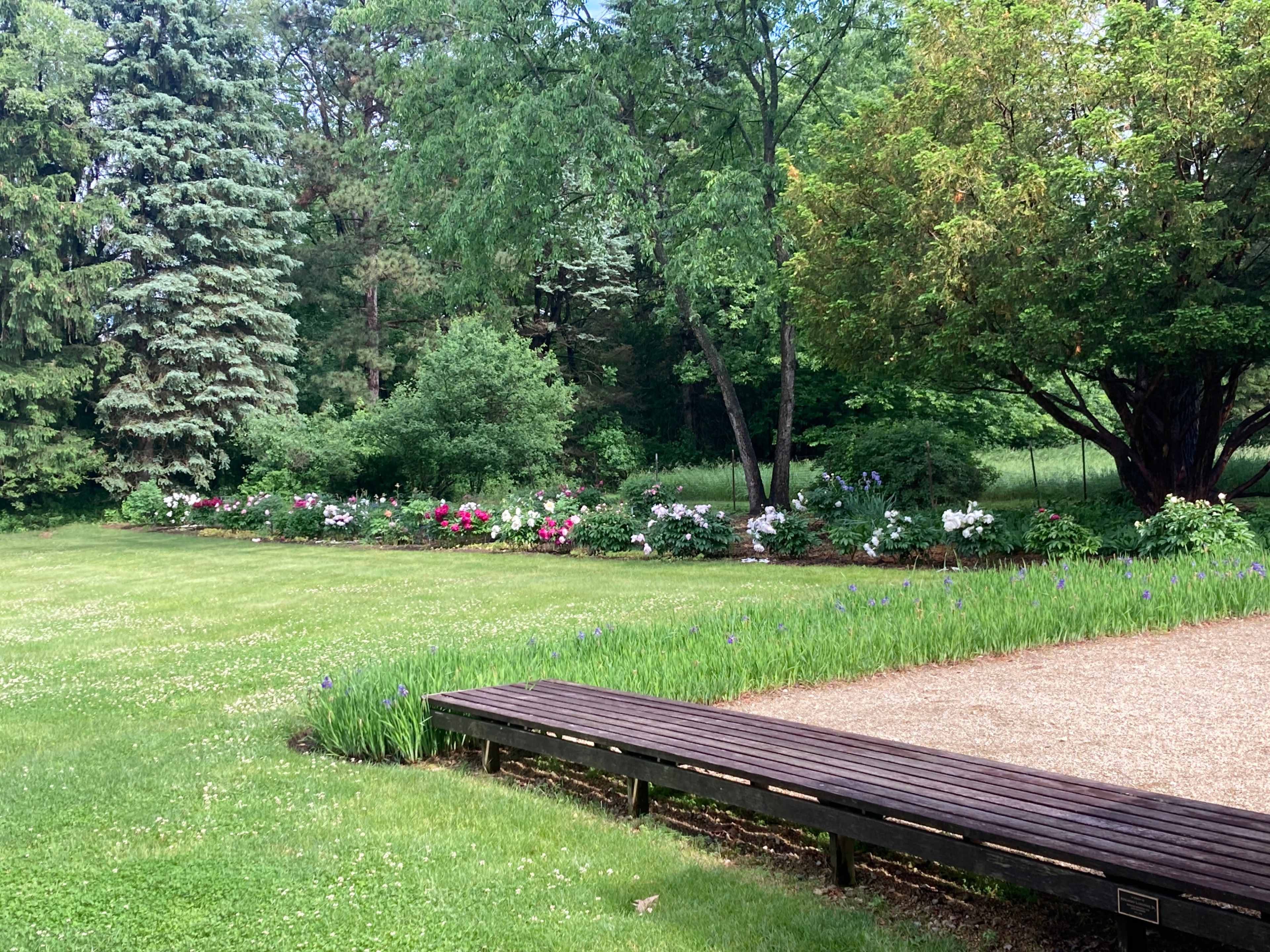 The image shows a landscaped garden with a wooden bench in the foreground and flower beds lined with various blooming plants in the background.
