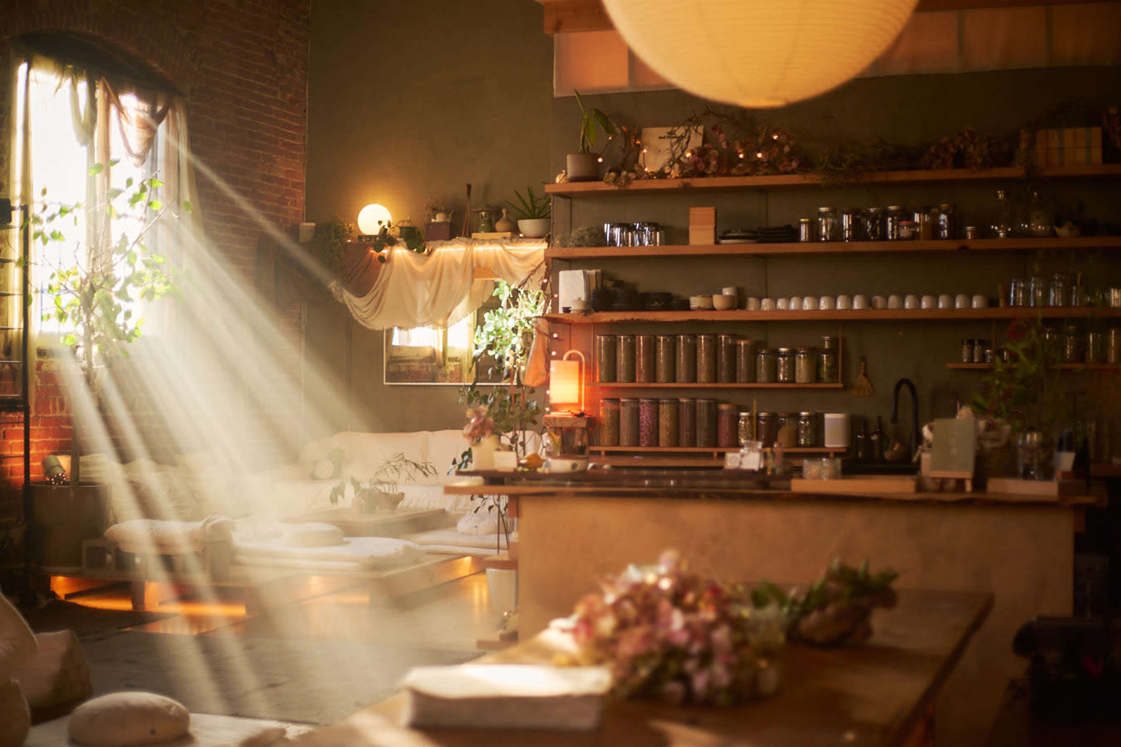 A warm, inviting interior features a wooden counter, shelves filled with jars and plants, and soft sunlight streaming through a window.