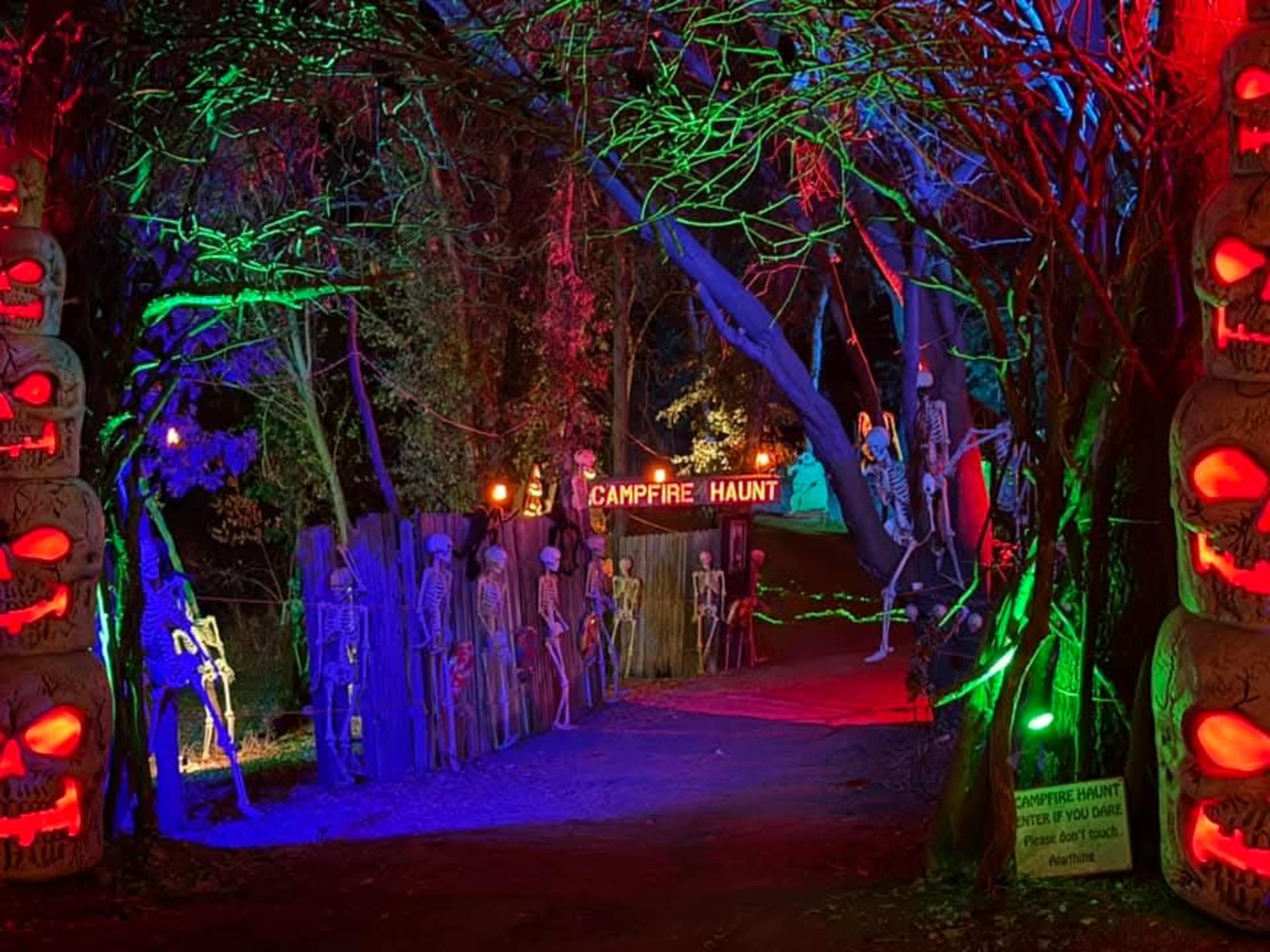 Private Forest in the middle of the city! Image in Citrus Heights, Citrus Heights, CA