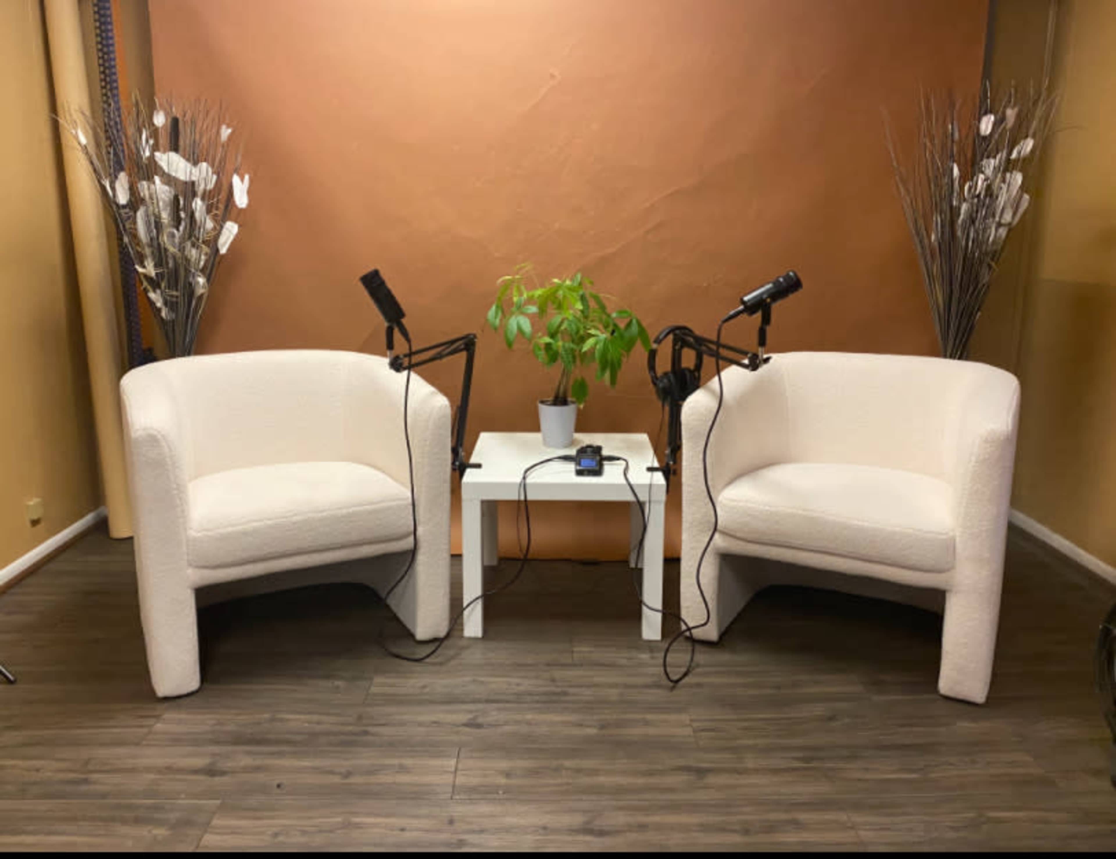 Two white chairs are positioned around a small table with a potted plant on it, and each chair has a microphone set up beside it against a brown backdrop.