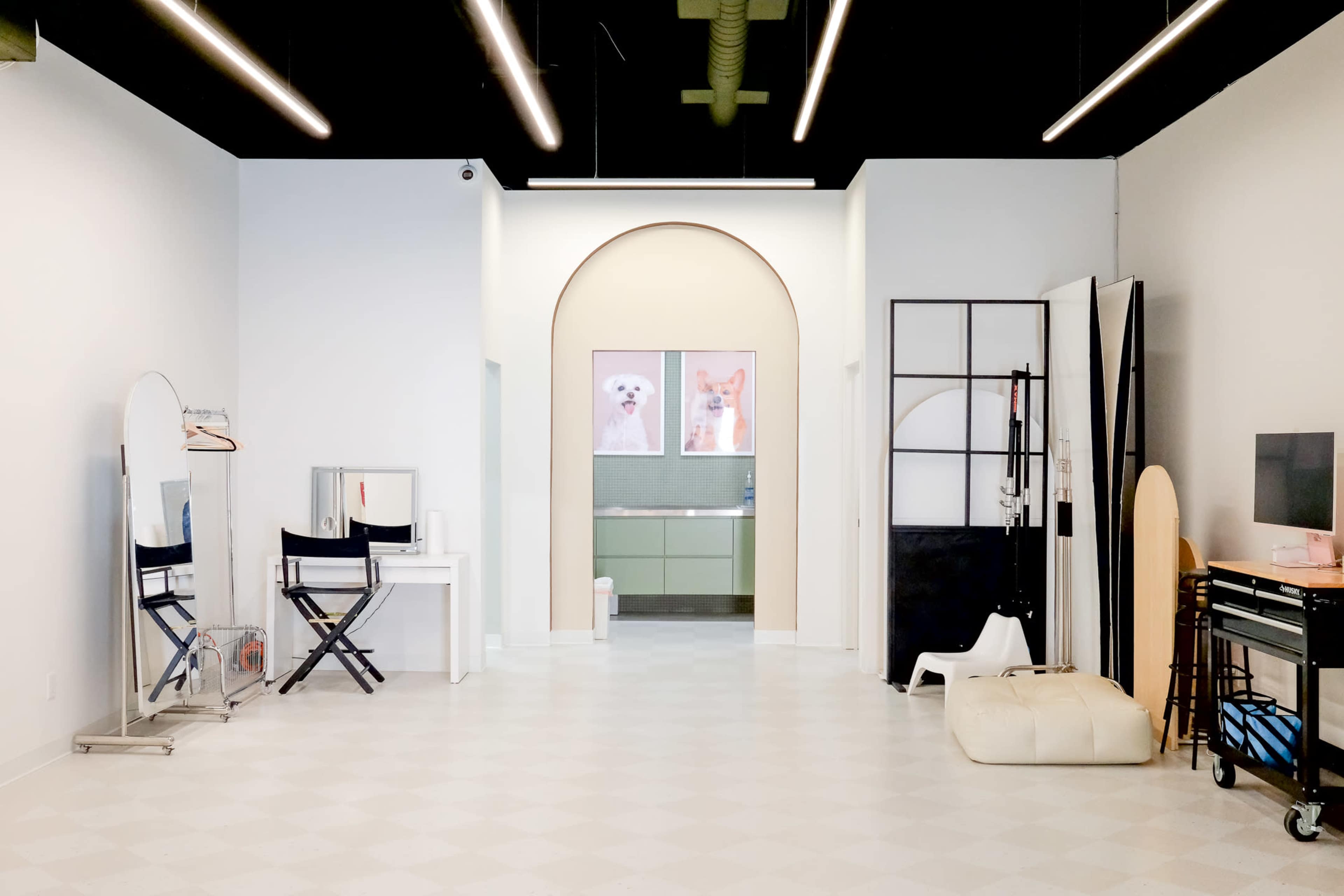 A modern, minimalist studio with a light-colored floor, chairs, mirrors, and framed dog portraits on the walls.