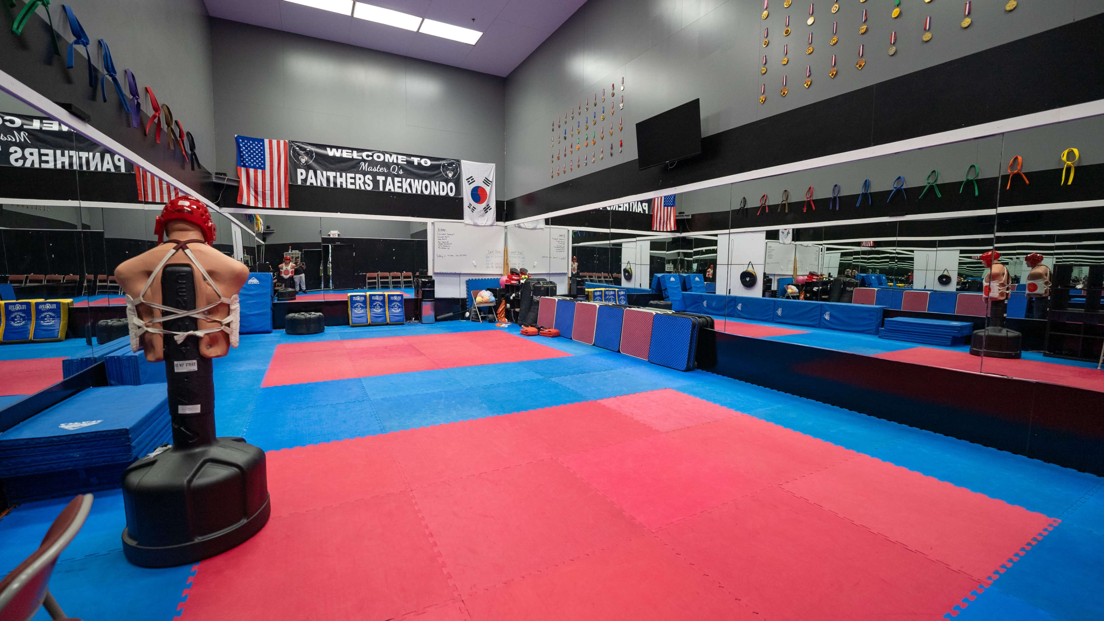 The image shows a martial arts training room with a red and blue mat, a sparring dummy, and a mirrored wall adorned with awards and national flags.
