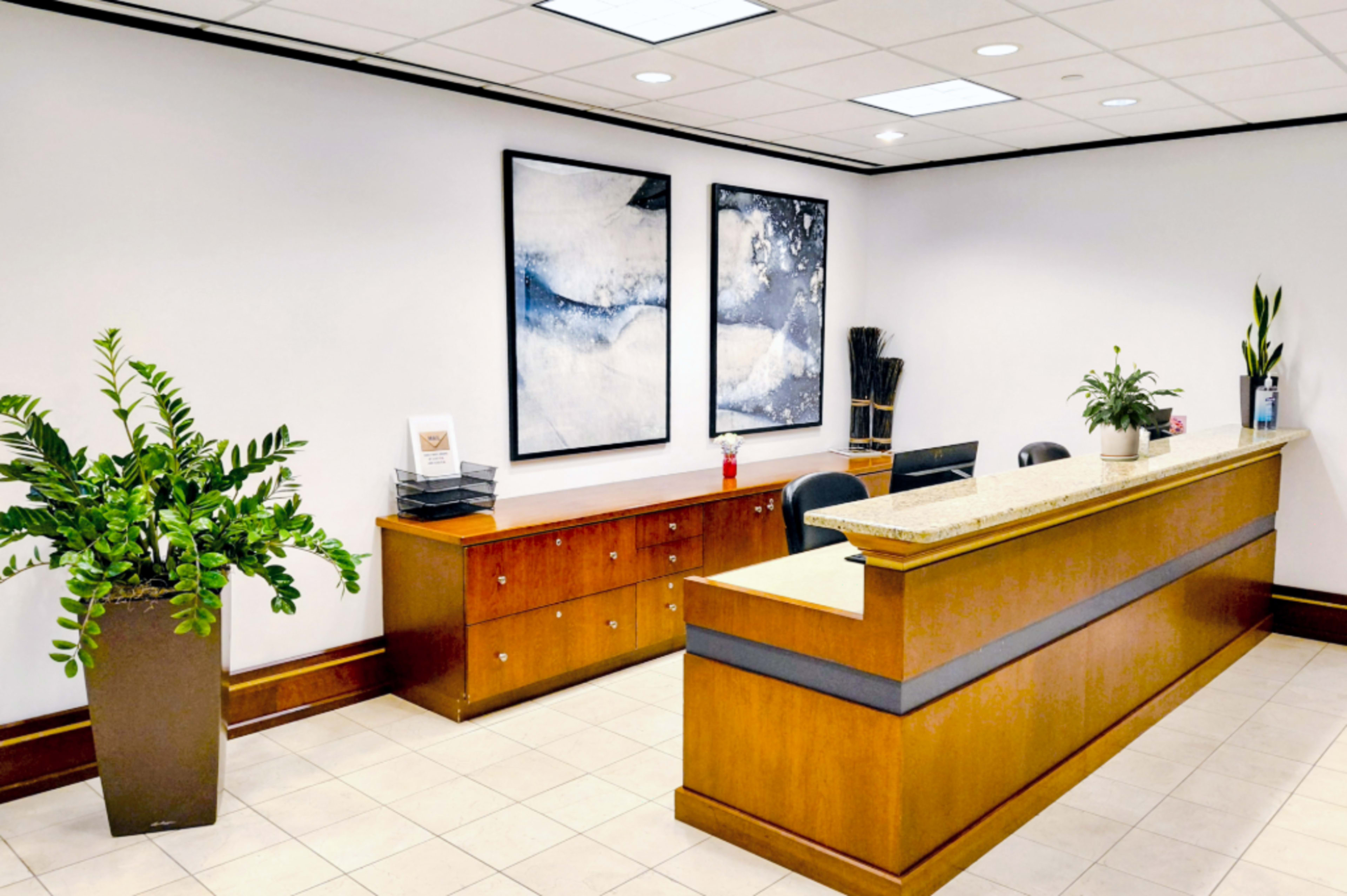 The image shows a modern reception area with a wooden front desk, two abstract paintings on the wall, and potted plants on either side.