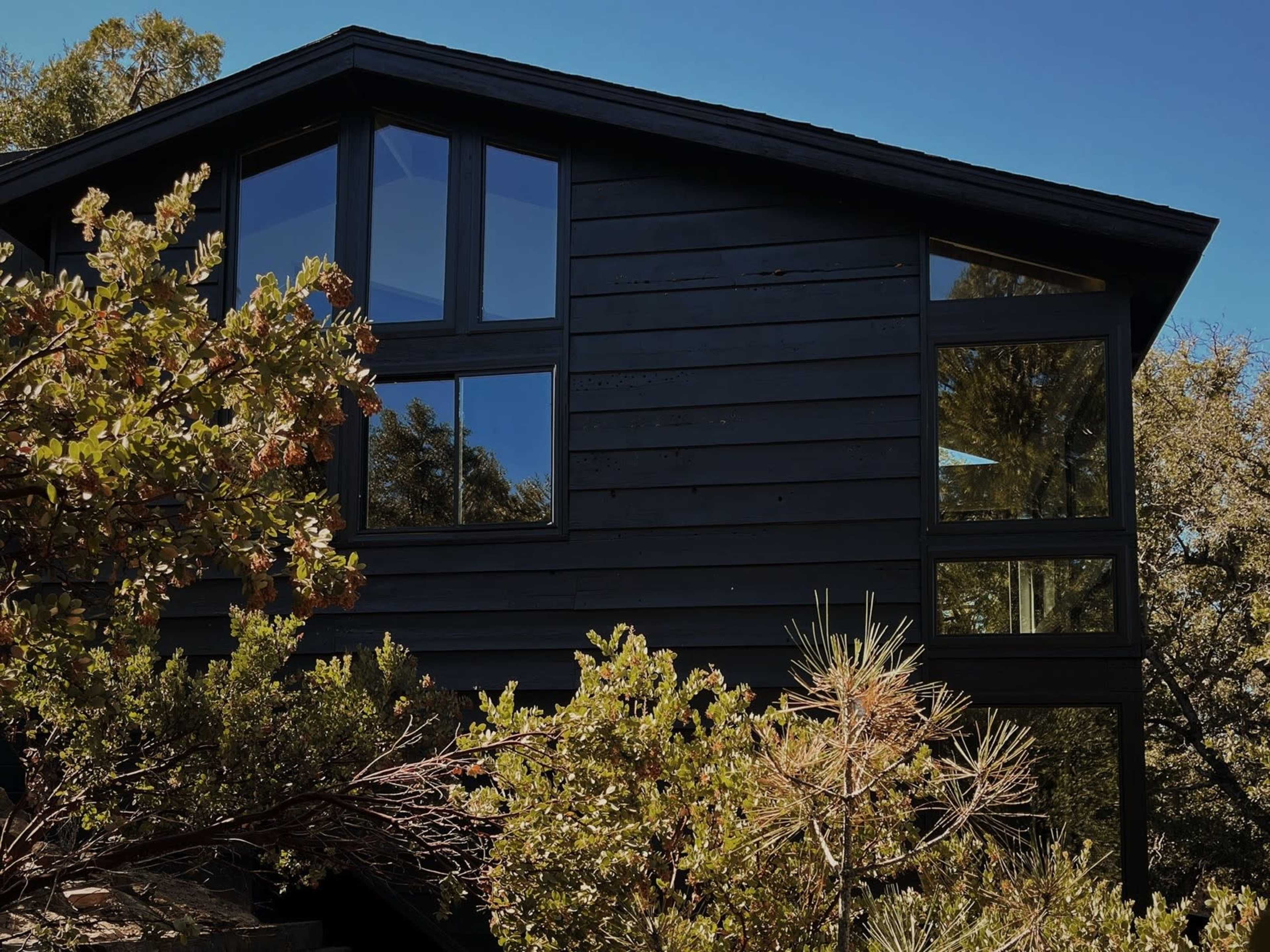 A modern, dark wooden house is partially obscured by green shrubs and trees, with large windows reflecting the blue sky.