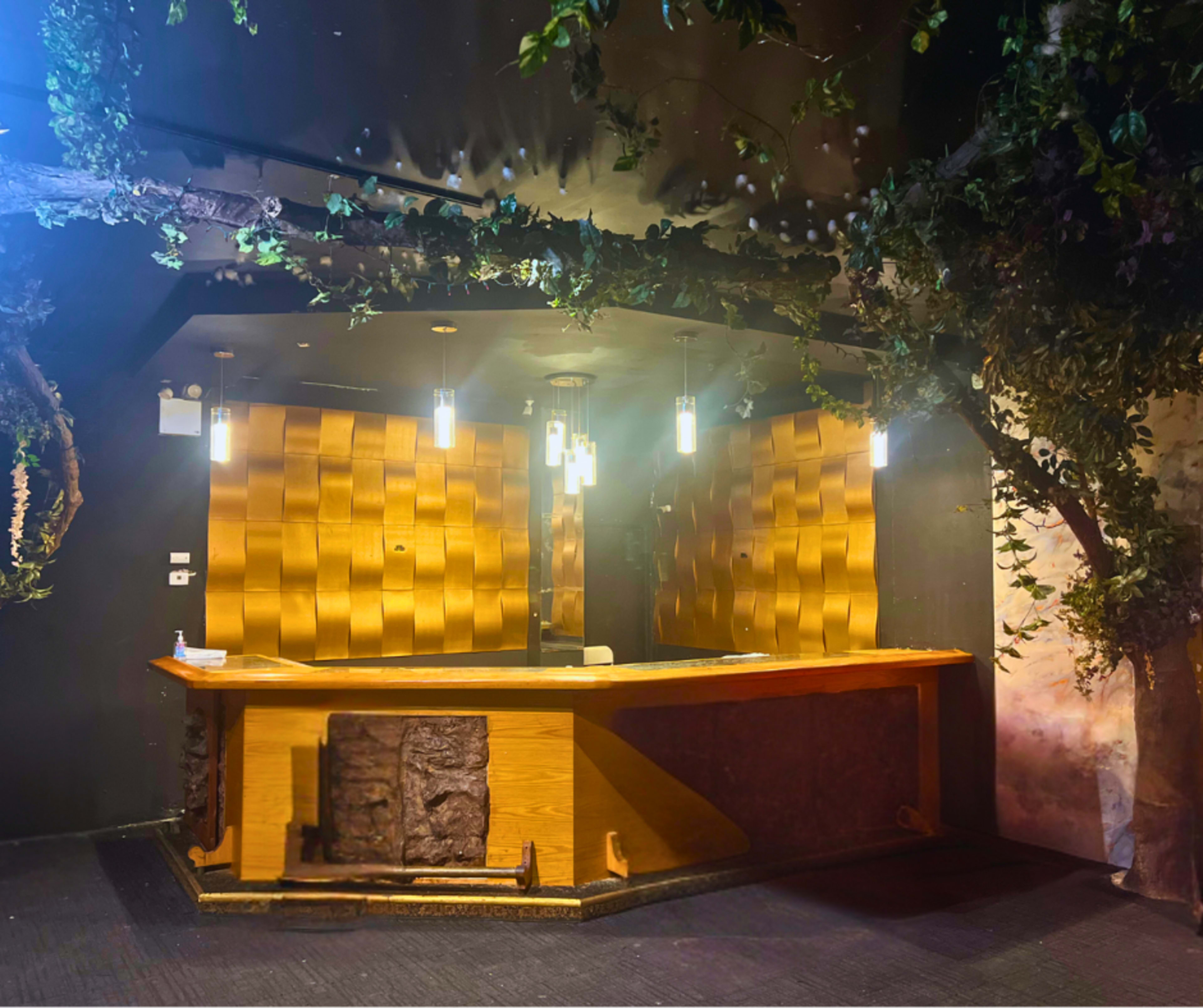 The image shows a reception area featuring a wooden counter with decorative paneling and overhead lighting, surrounded by greenery.