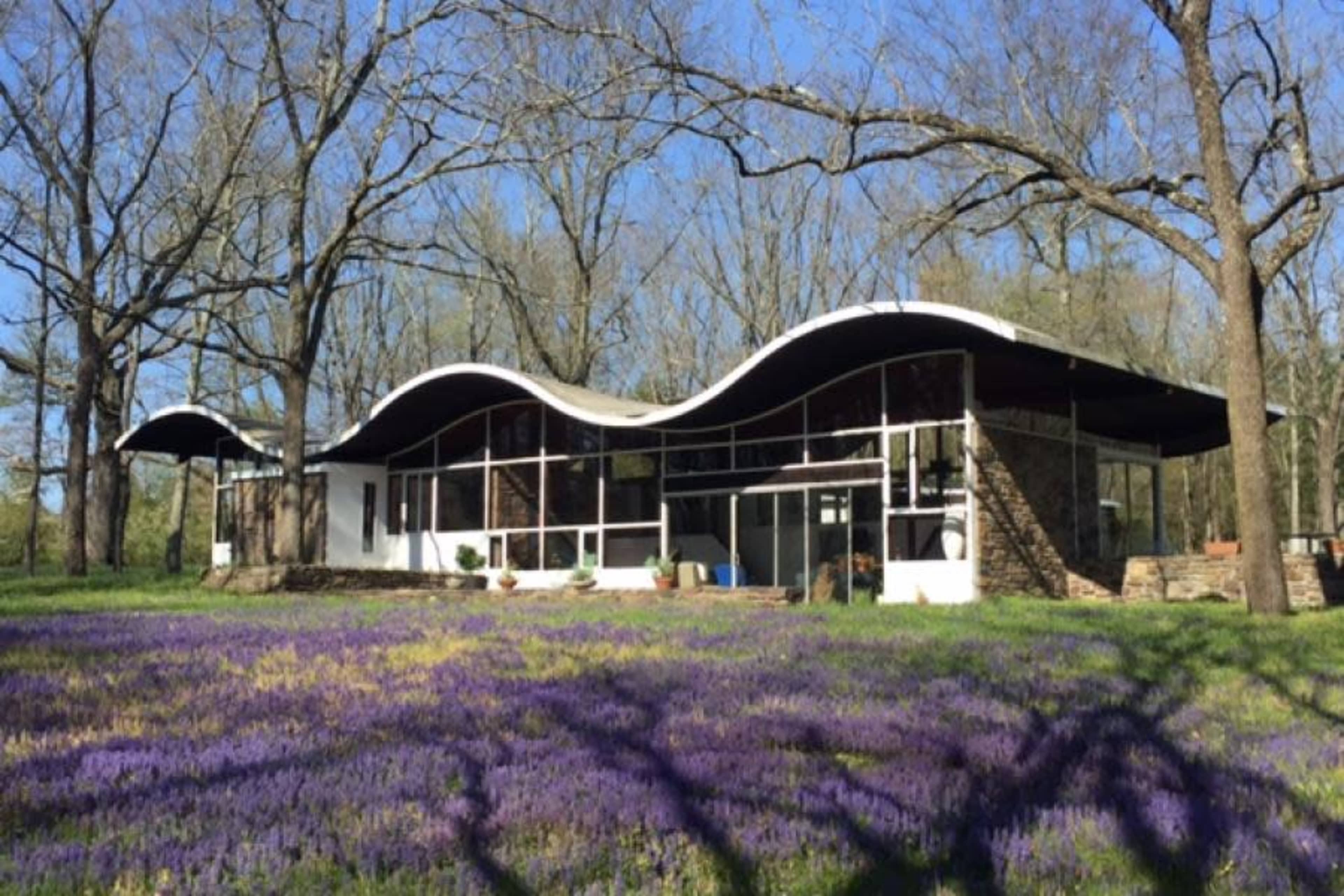 A modern house with a wavy roof is set among bare trees and a field of purple wildflowers.