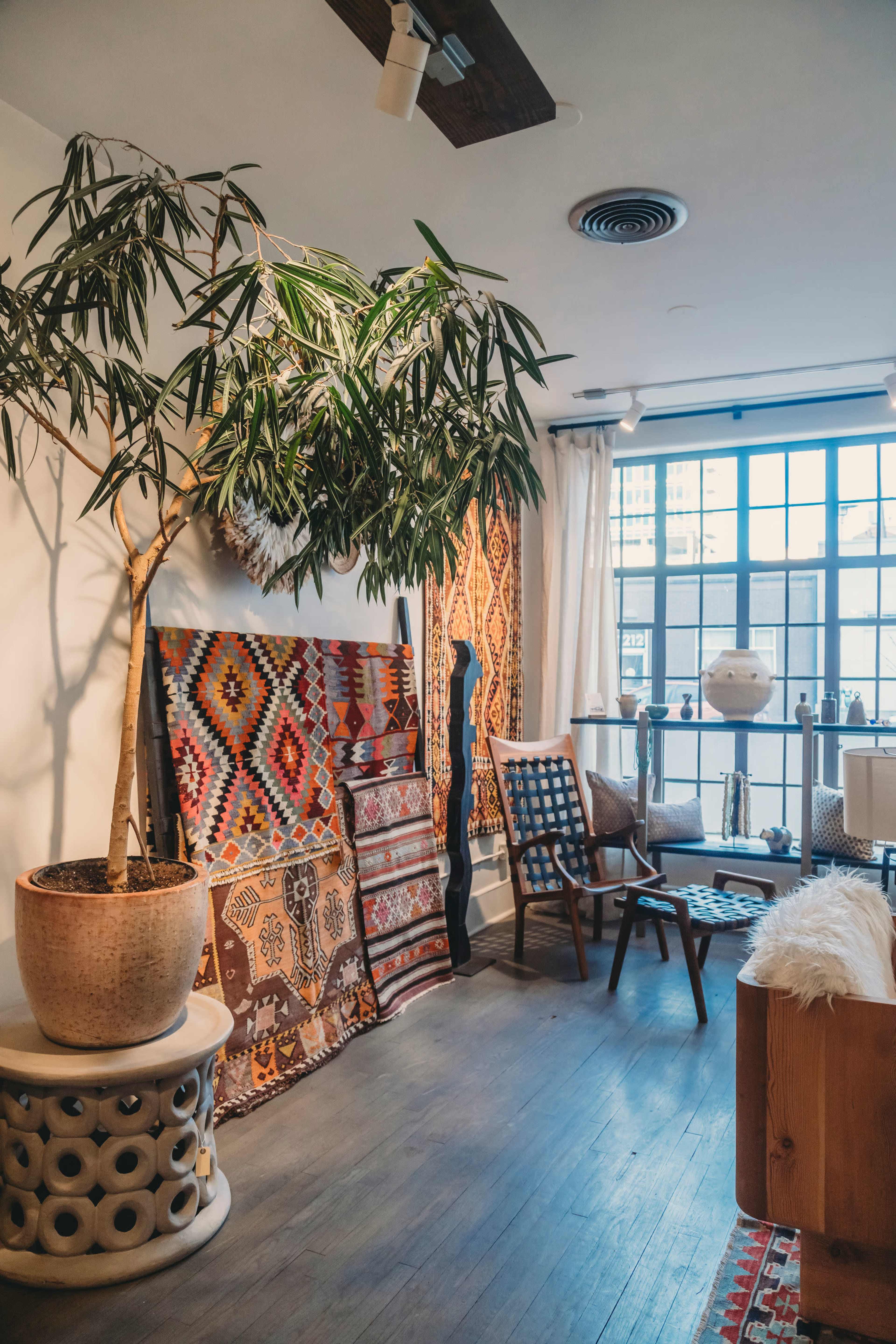 The image shows a warmly lit interior space featuring a patterned textile display, a large potted plant, wooden furniture, and a window allowing natural light to illuminate the room.