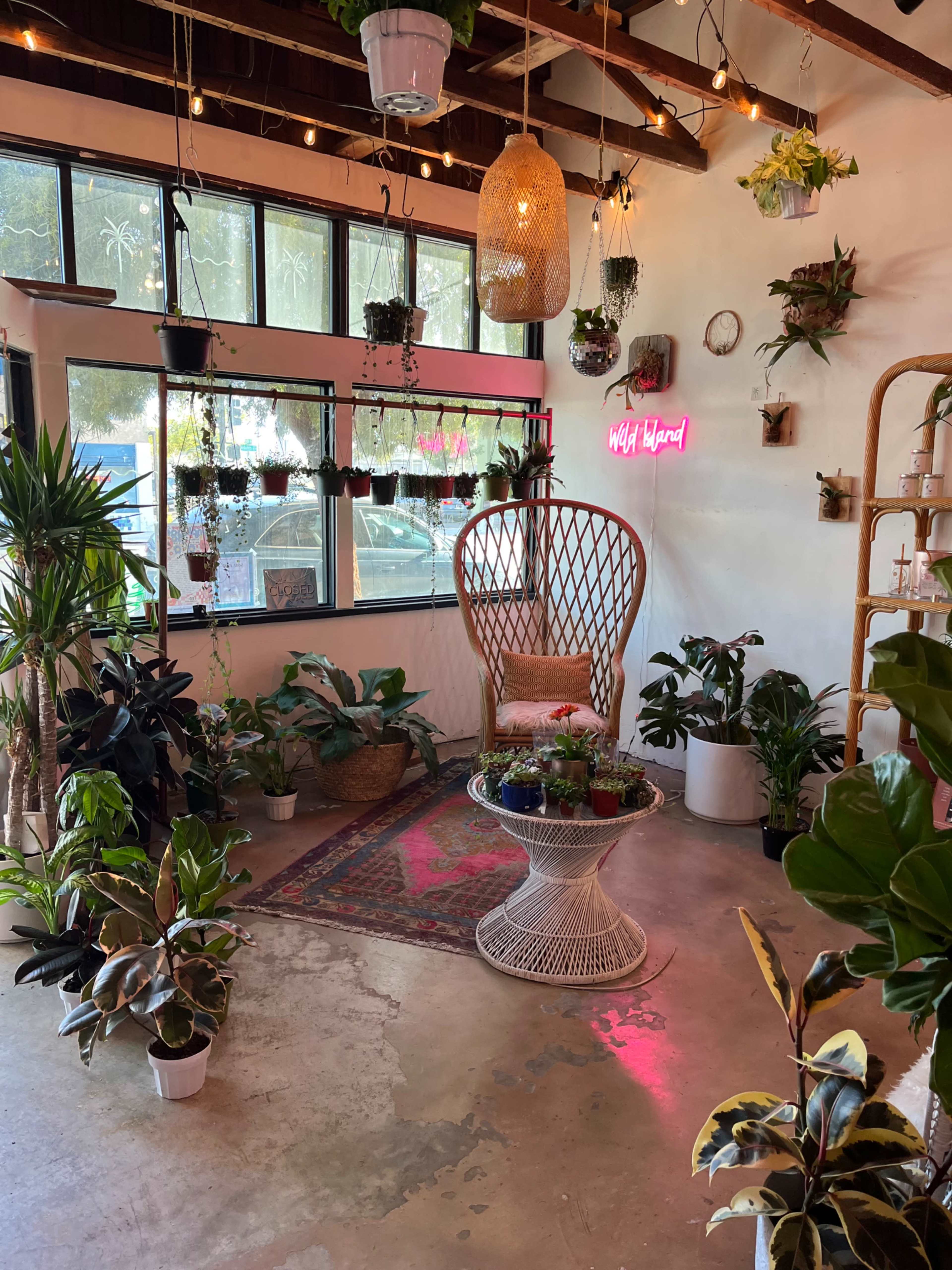 A cozy indoor space with various plants arranged around a central wicker chair and a colorful rug, illuminated by string lights and a neon sign.
