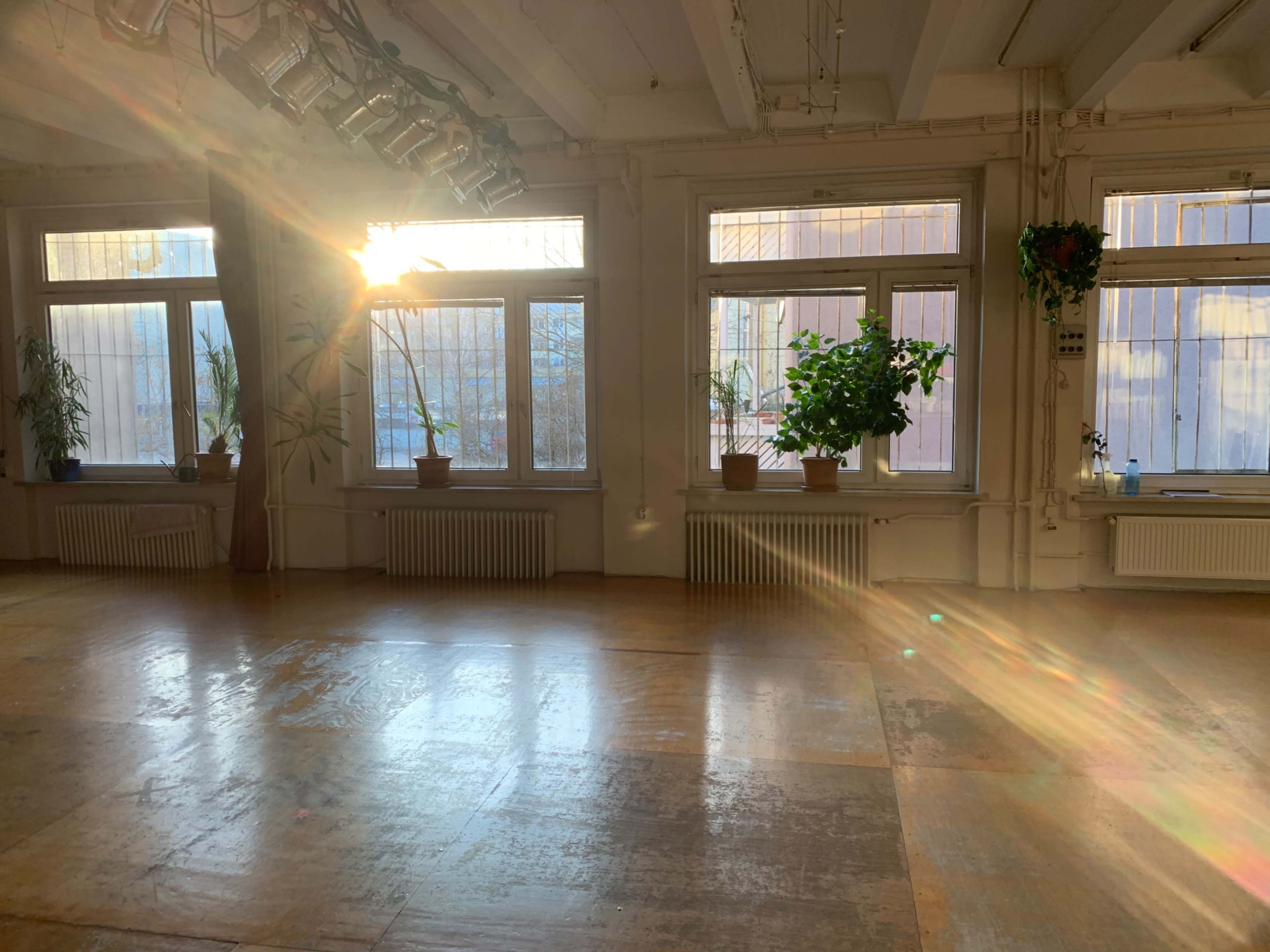 Sunlight streams through large windows, illuminating a spacious room with potted plants and a wooden floor.