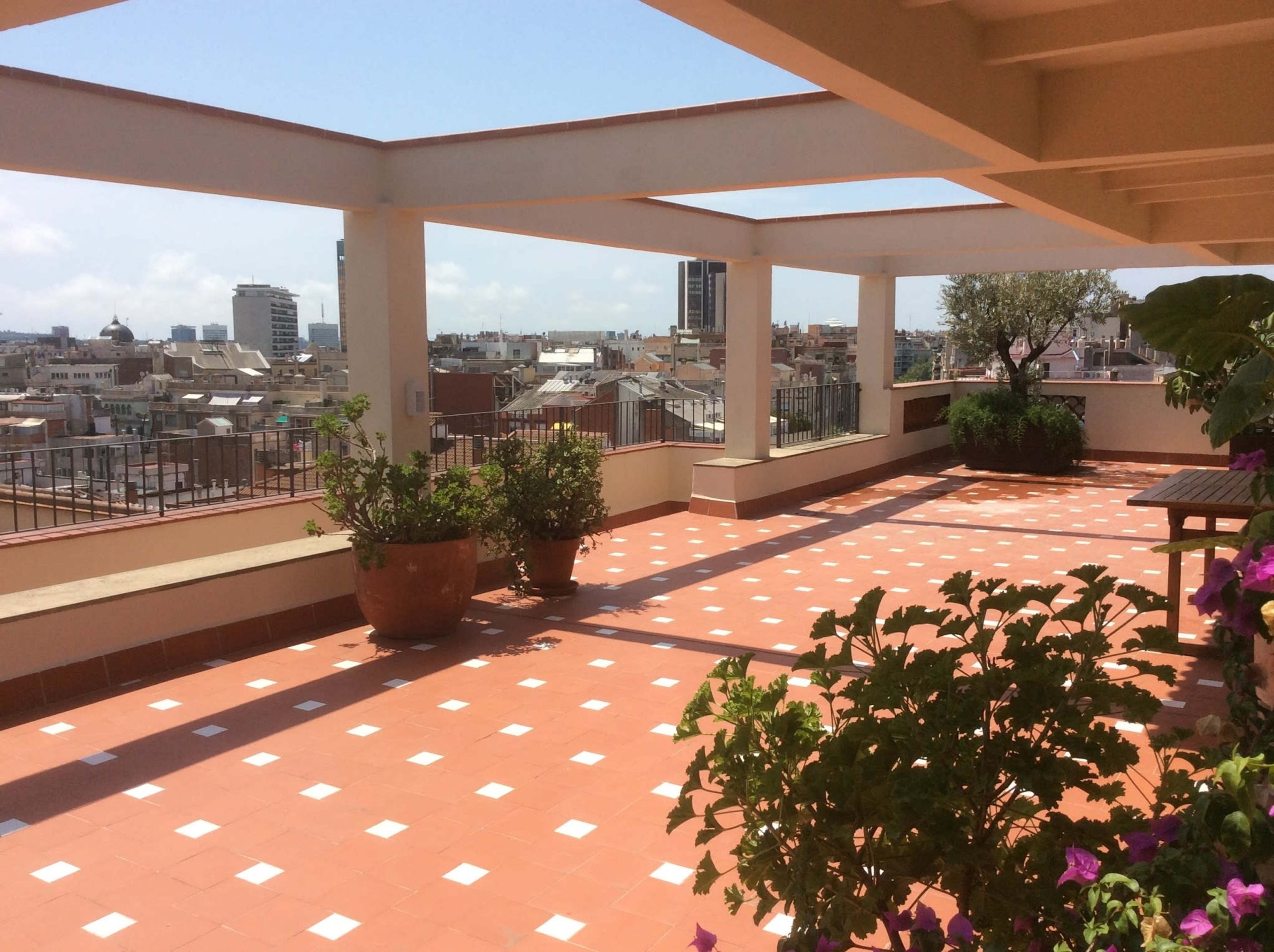 A spacious rooftop terrace with tiled flooring, potted plants, and a view of a city skyline in the background.