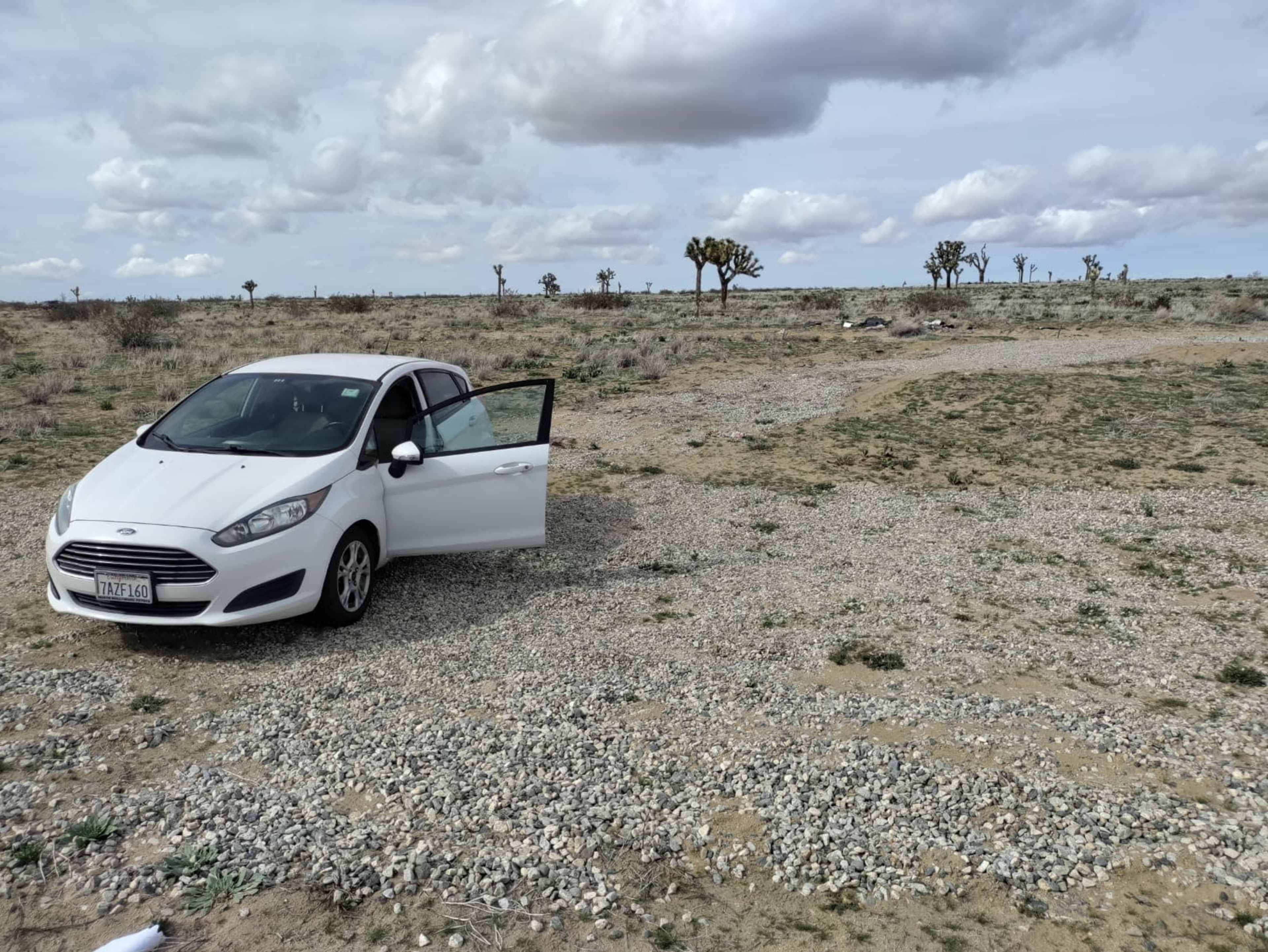 A white car is parked on a gravelly terrain with scattered Joshua trees in the background under a cloudy sky.