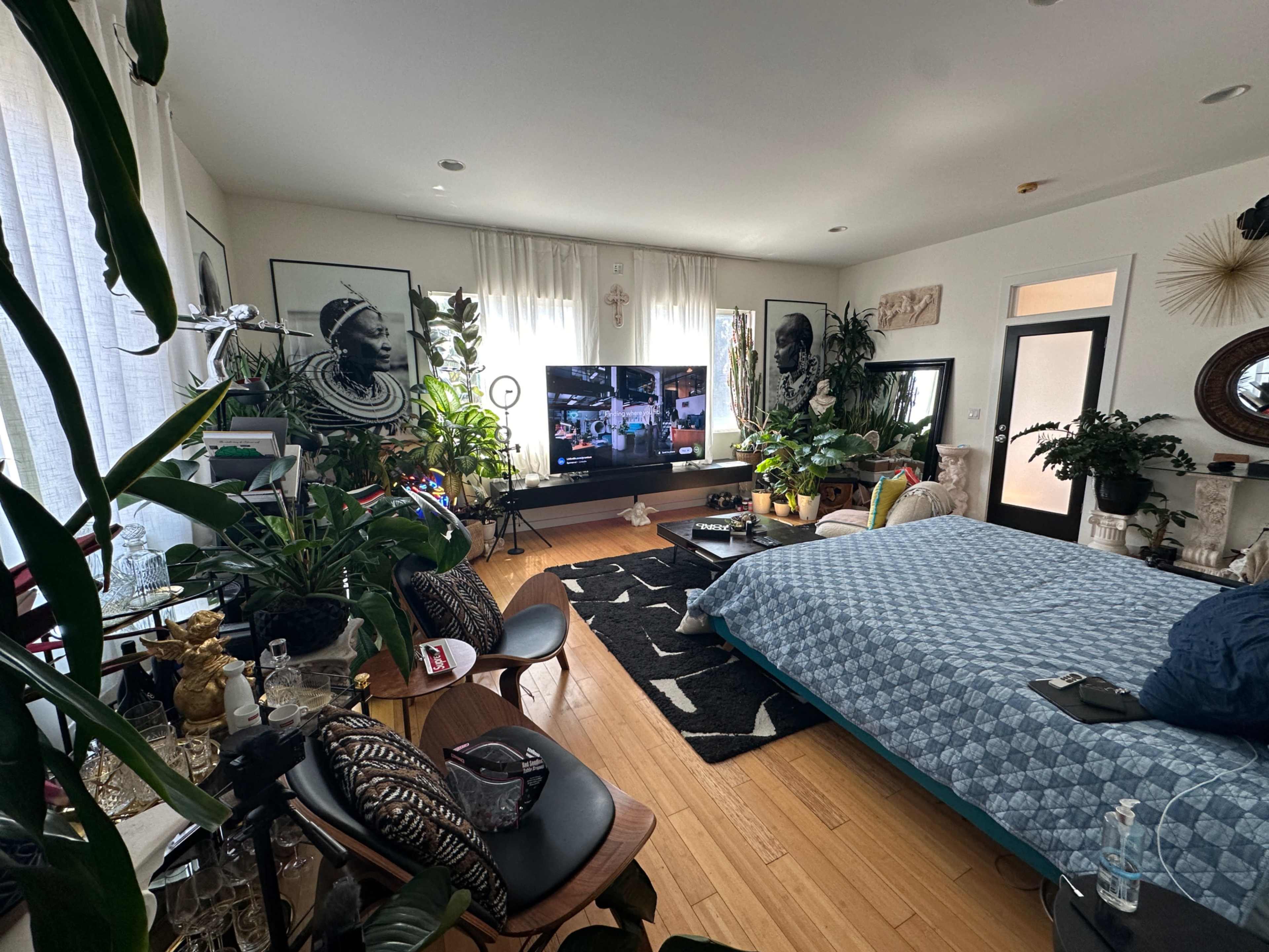 A spacious room filled with various plants, a large television, and a bed, featuring a mix of decorative elements and furniture.