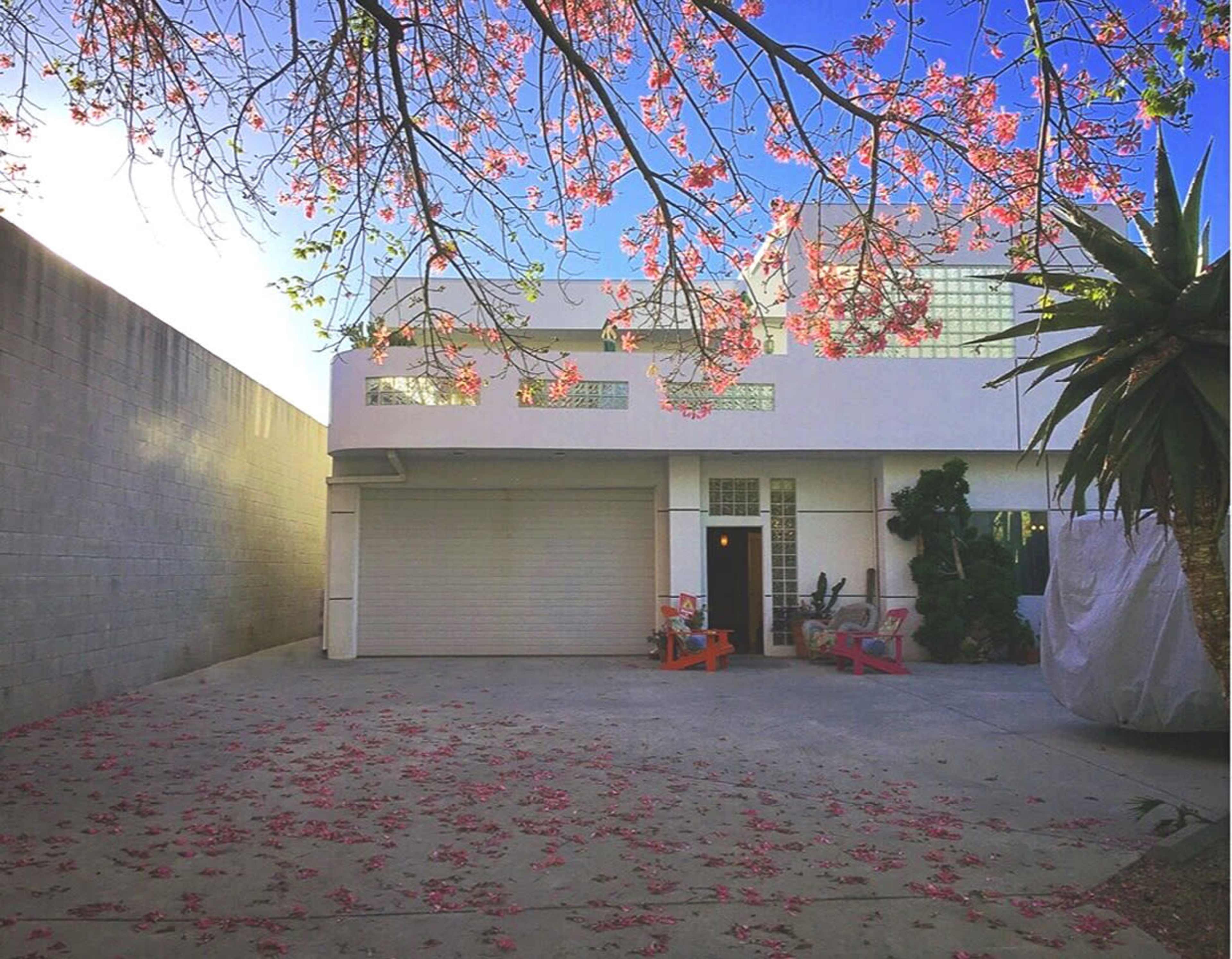 A modern two-story house is surrounded by pink flowering trees and has a garage entrance with a concrete driveway scattered with fallen petals.
