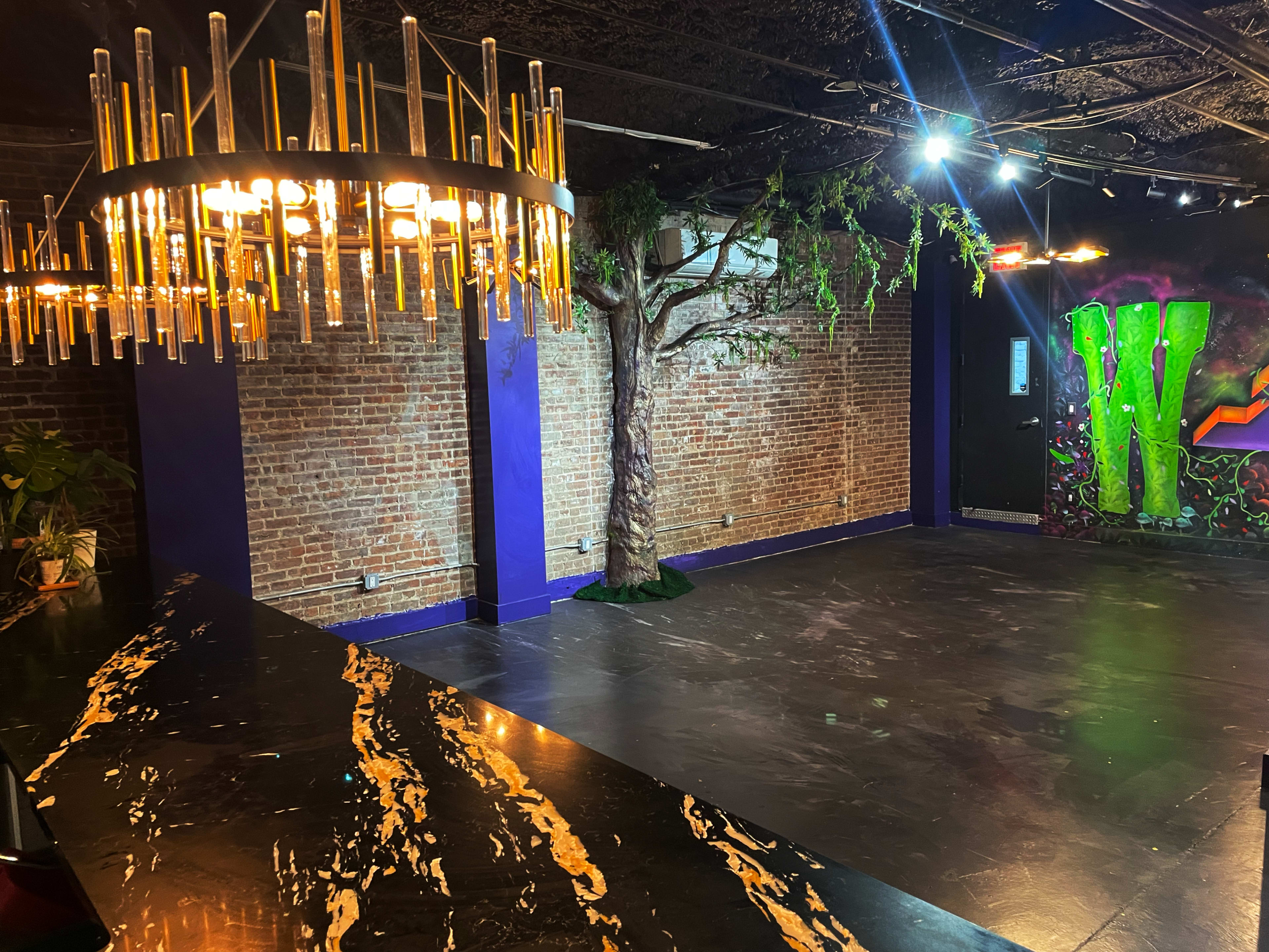 Private Brooklyn Lounge w/ Botanical Bar + String-Lit Backyard Vibe Image in Bedford-Stuyvesant, Brooklyn, NY