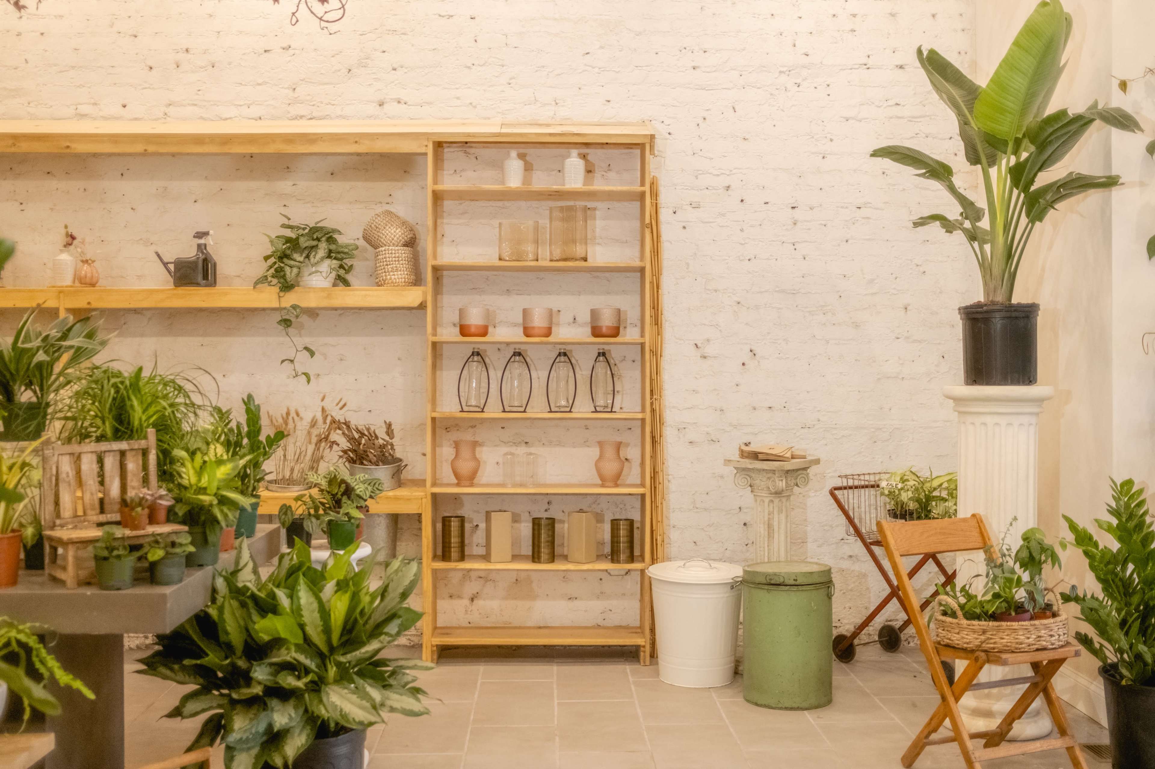 A small indoor plant shop featuring wooden shelves with various plants, decorative pots, and a seating area with a folding chair.