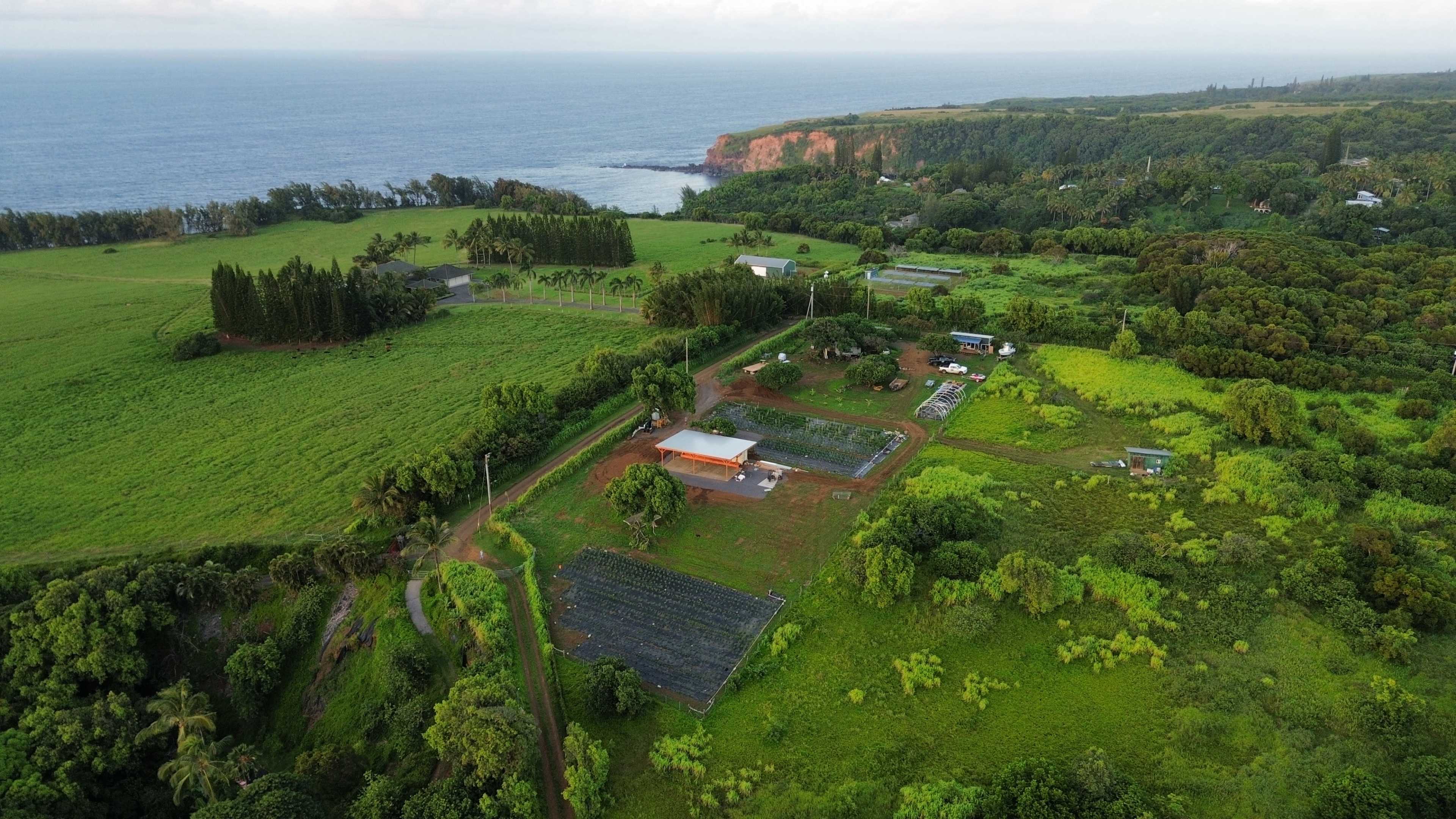 Aerial view of a coastal farm with fields, buildings, and a rugged coastline in the background.