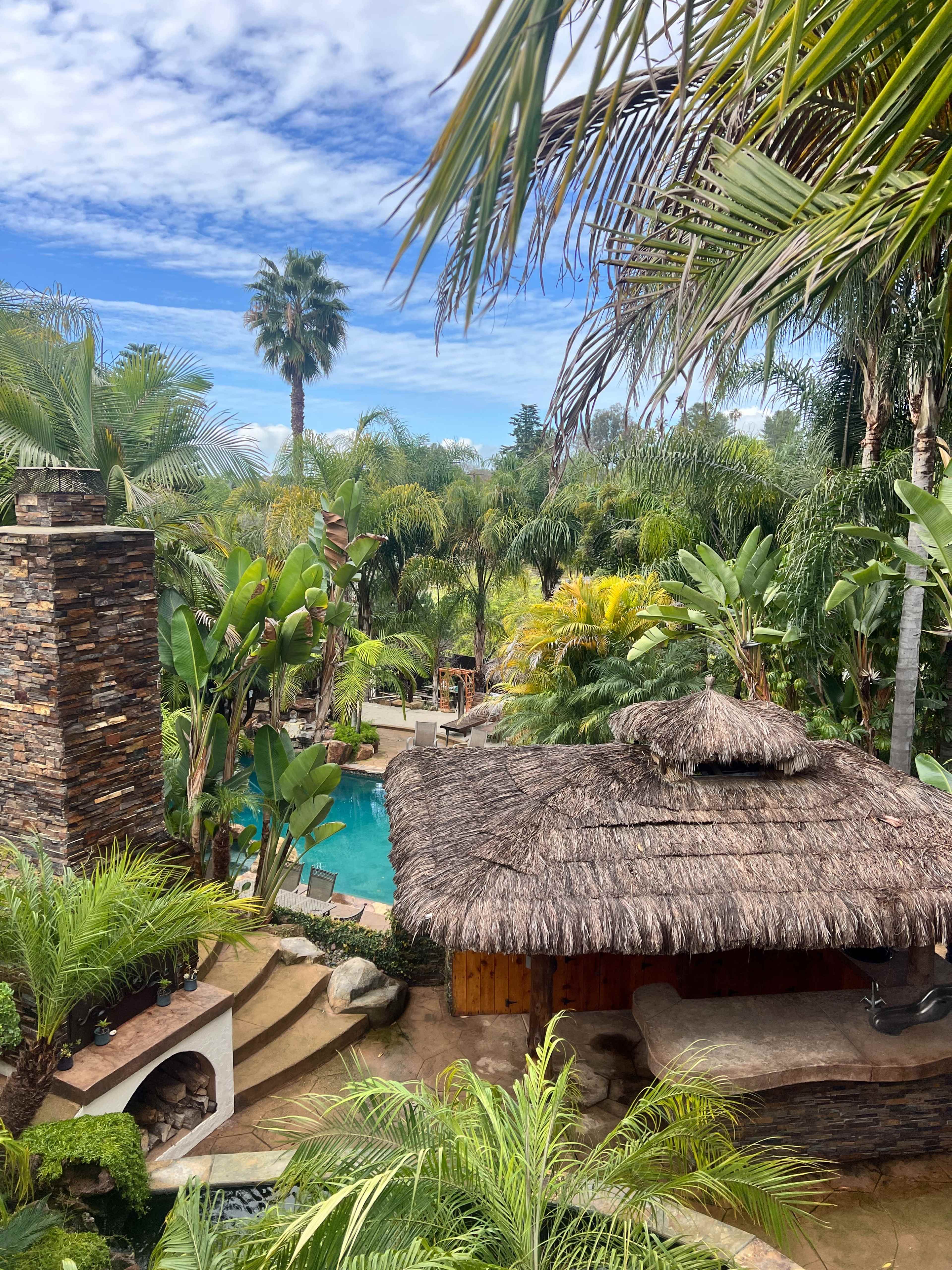 BRIO | Tropical Outdoor Space for Shoots and Content Creation Image in Casa de Oro-Mount Helix, El Cajon, CA