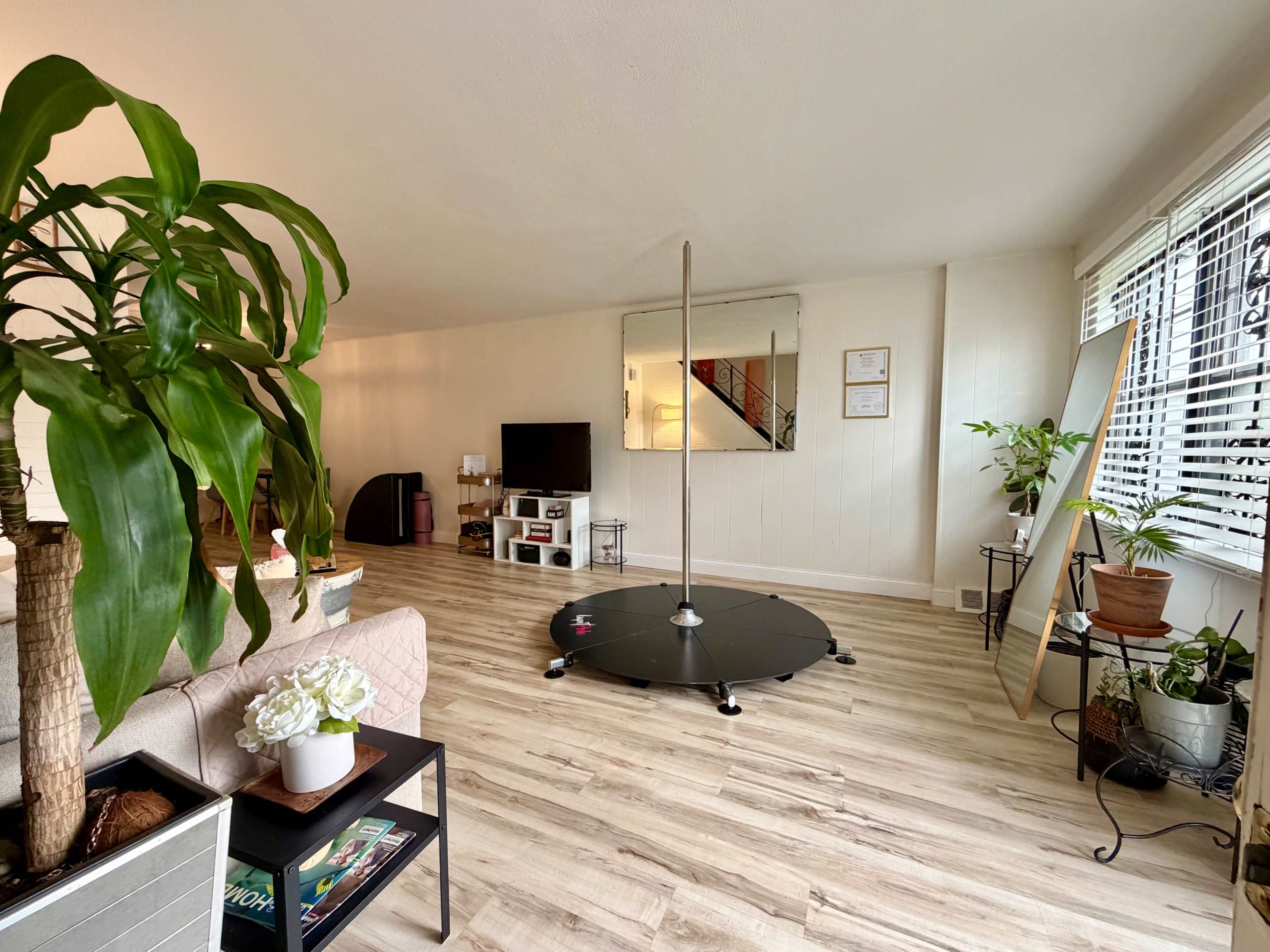 The image shows a bright living room featuring a pole dance pole, a large mirror, a television unit, and several potted plants.