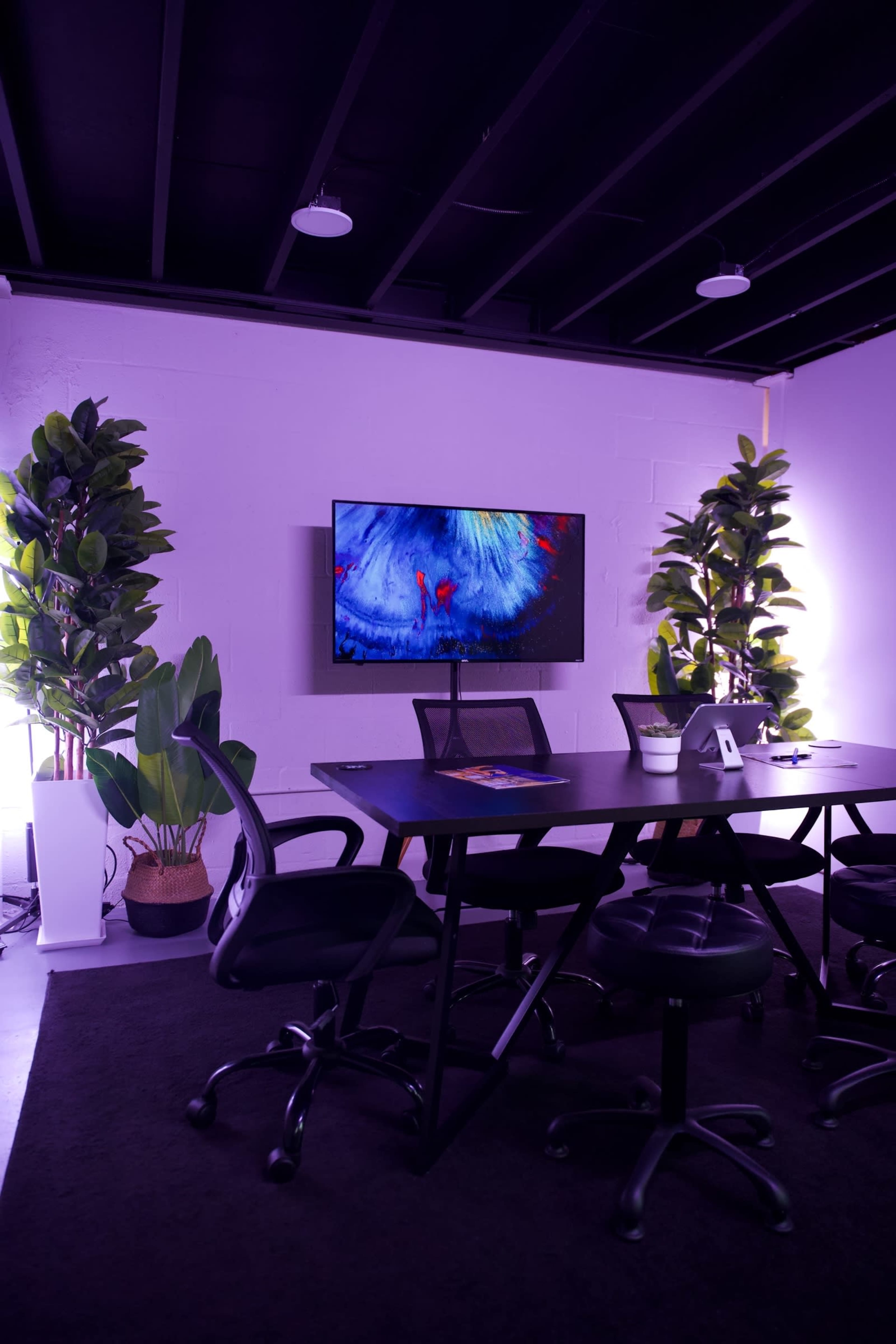 A modern conference room features a large monitor displaying vibrant visuals, surrounded by sleek chairs and potted greenery.