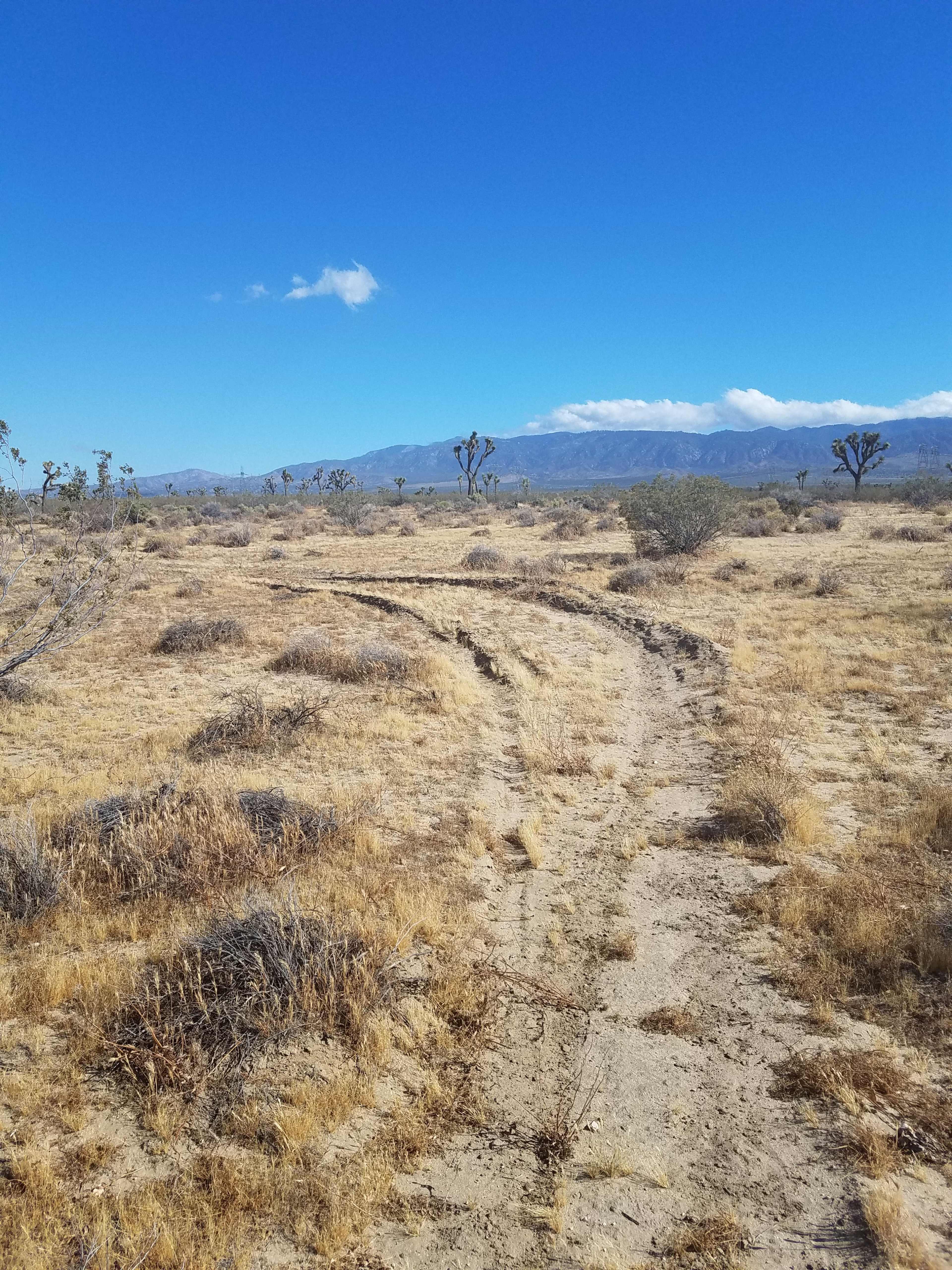 A dirt path winds through a dry, open landscape with sparse vegetation and distant mountains under a clear blue sky.