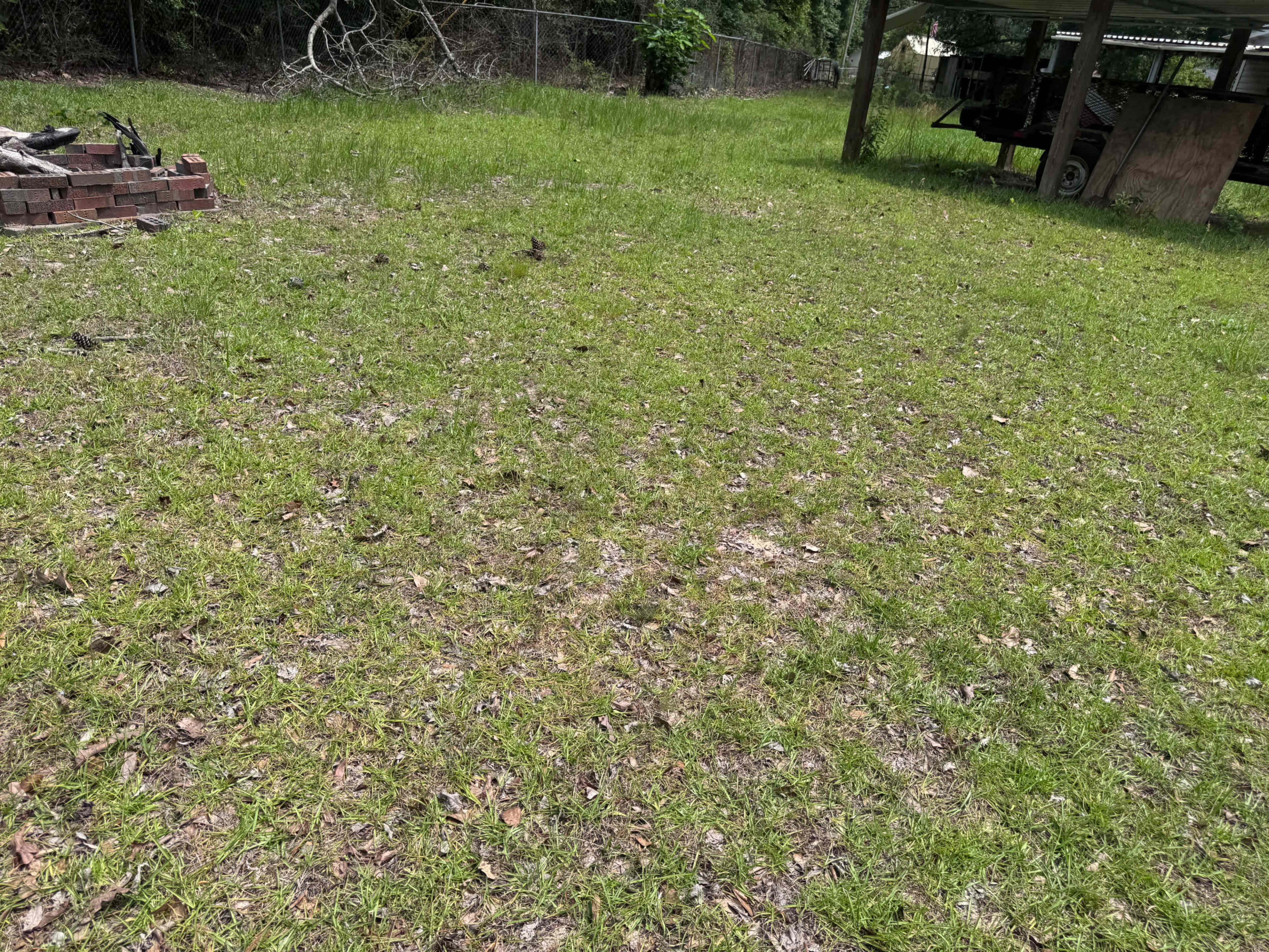 The image shows an open grassy area with sparse vegetation, a stack of bricks to one side, and a trailer partially visible in the background under a structure.