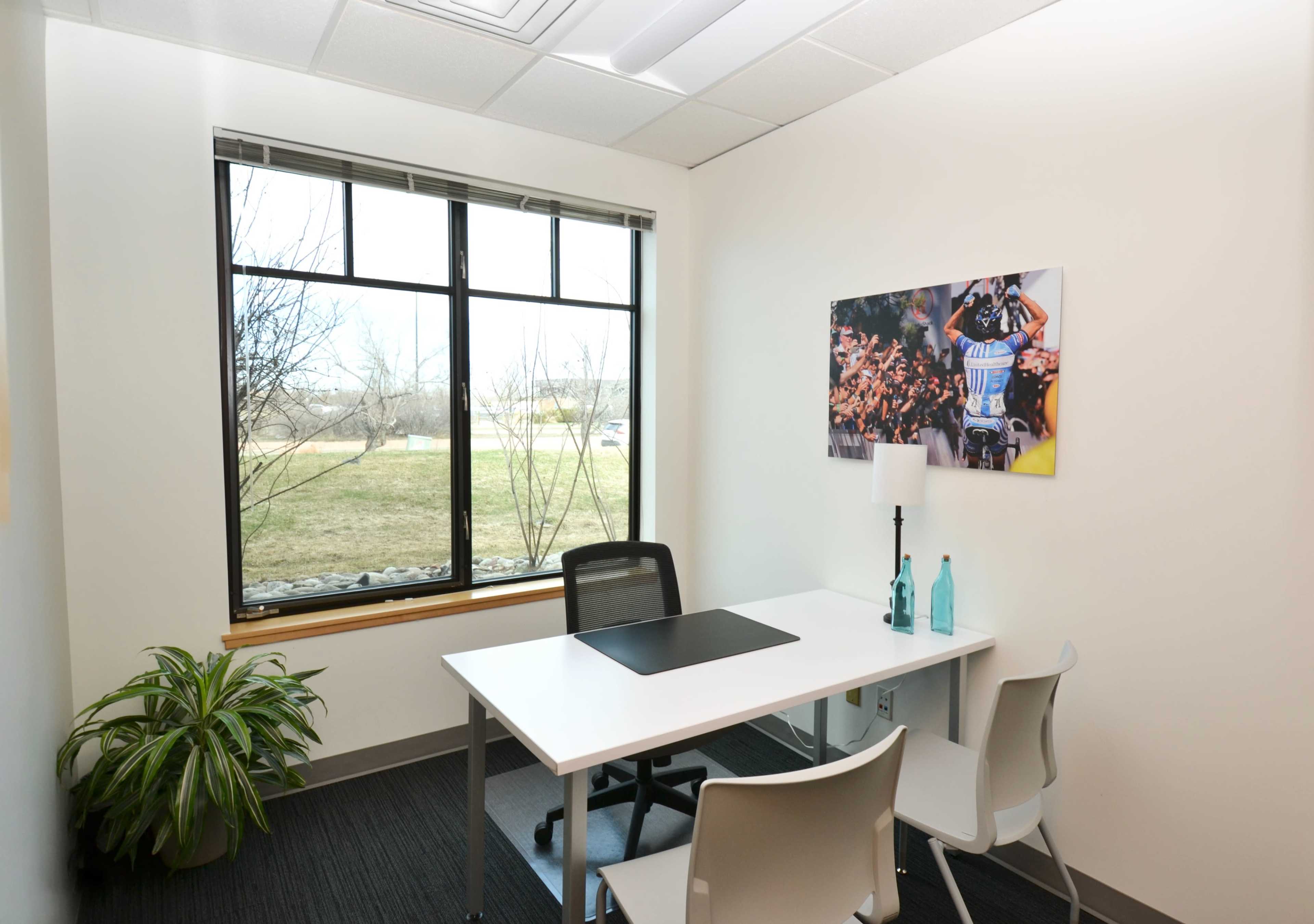 A small office features a desk and chairs positioned near a window with a view of a grassy area outside, accompanied by a photo on the wall.