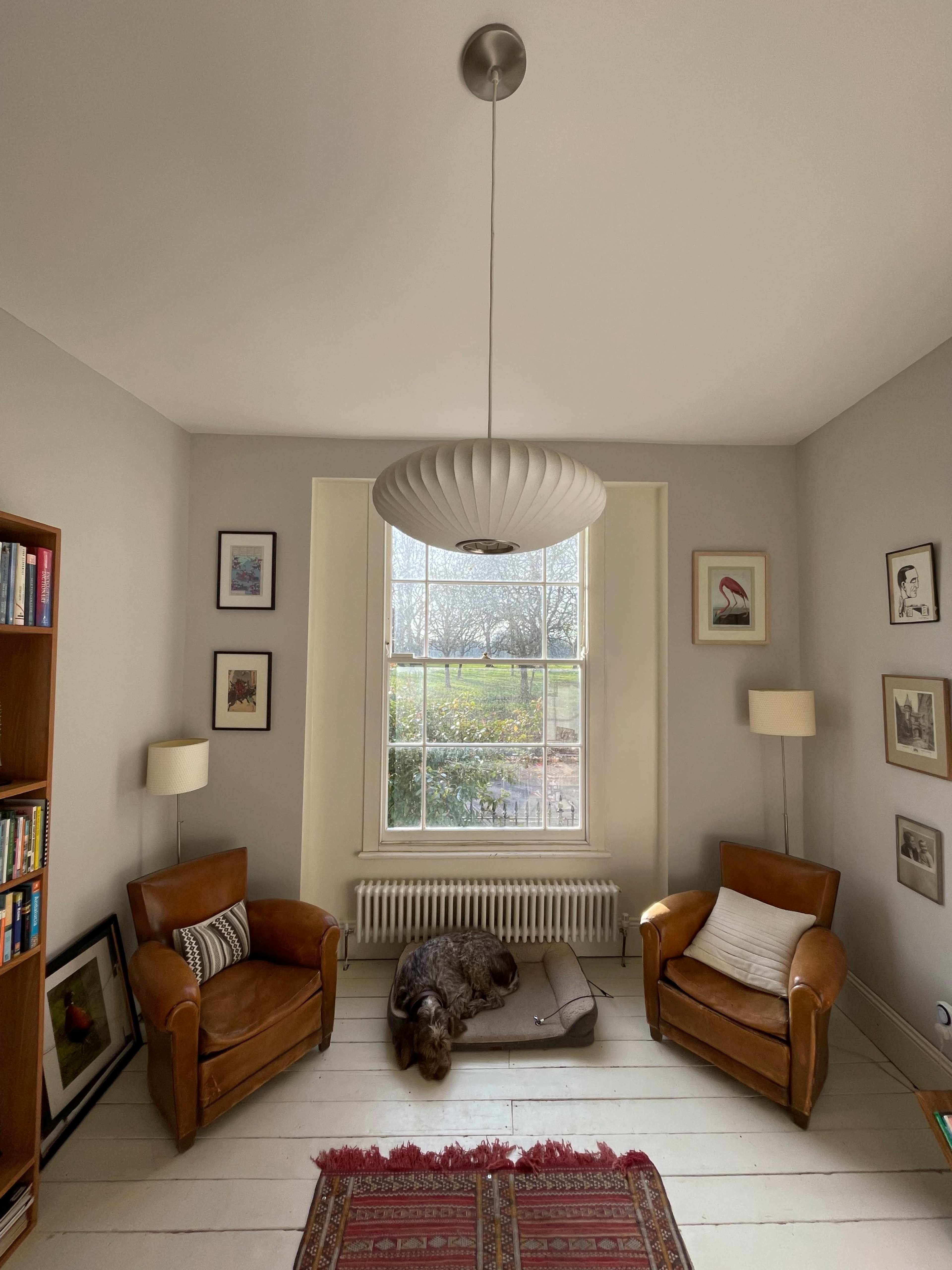 The image depicts a cozy living room with two brown armchairs, a large window overlooking a garden, a light fixture hanging from the ceiling, and a dog resting on a rug.