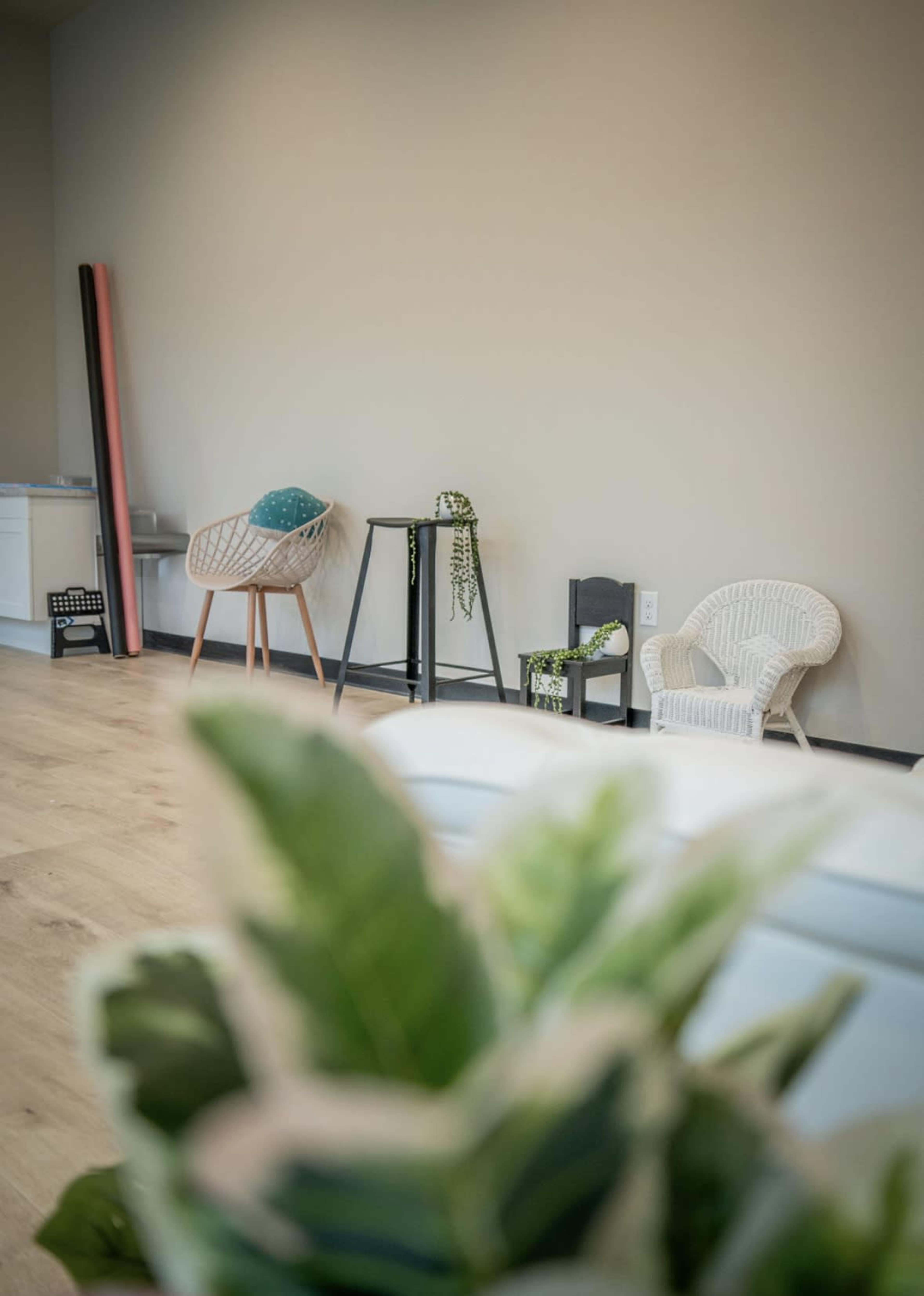 Puyallup studio with natural light Image in Puyallup, Puyallup, WA