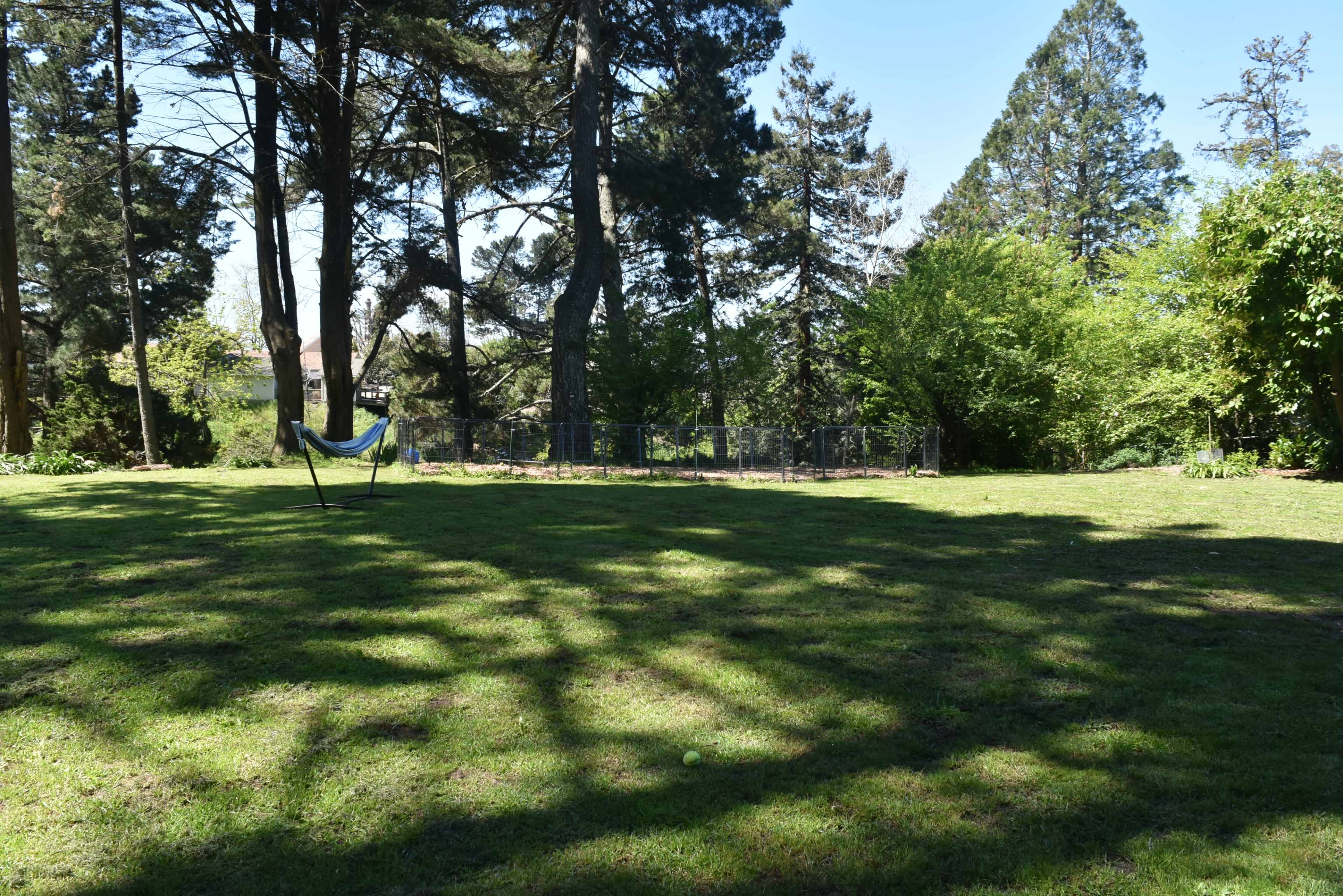 A grassy backyard with a hammock hanging between two trees, surrounded by a fence and dense greenery.
