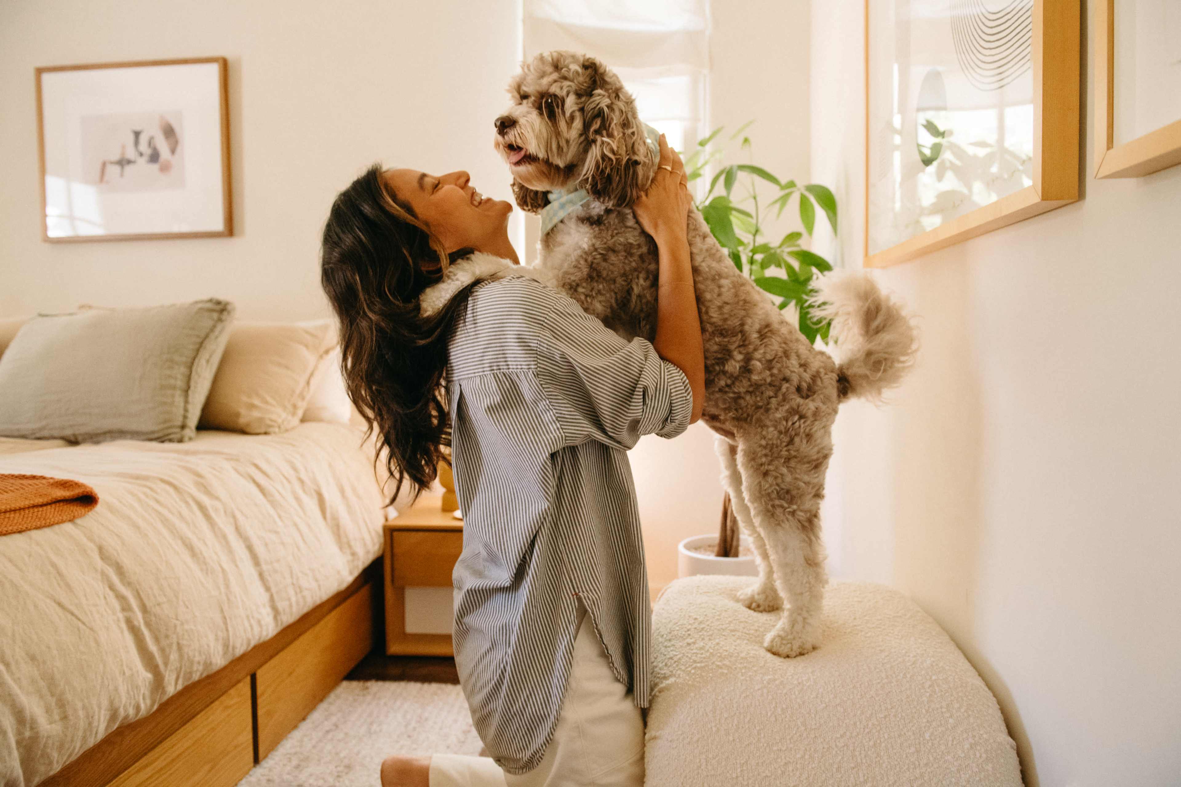Modern Spanish Home with large yard and pool Image in Glenoaks Canyon, Glendale, CA