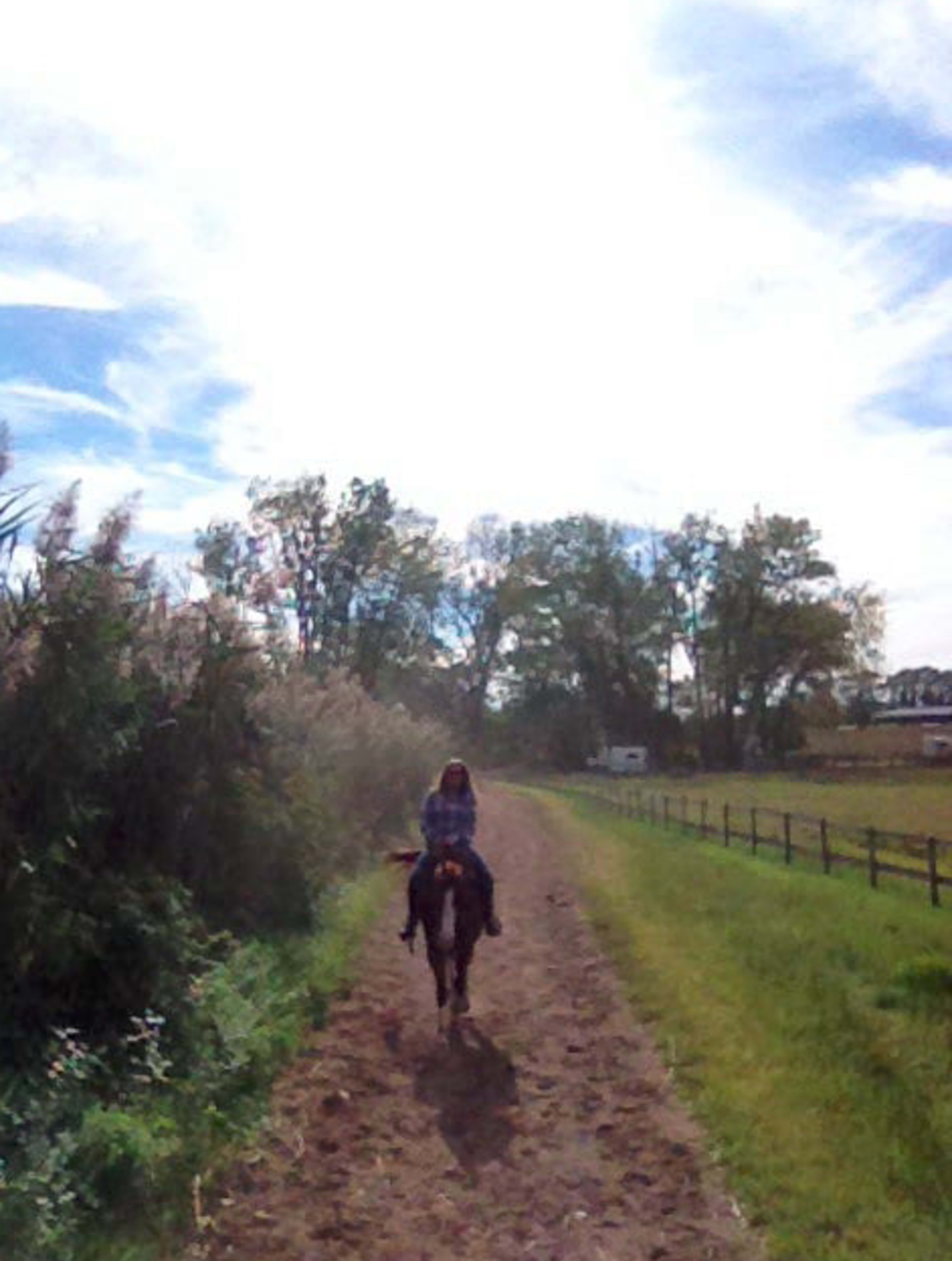 A person rides a horse along a dirt path lined with trees and brush on a clear day.