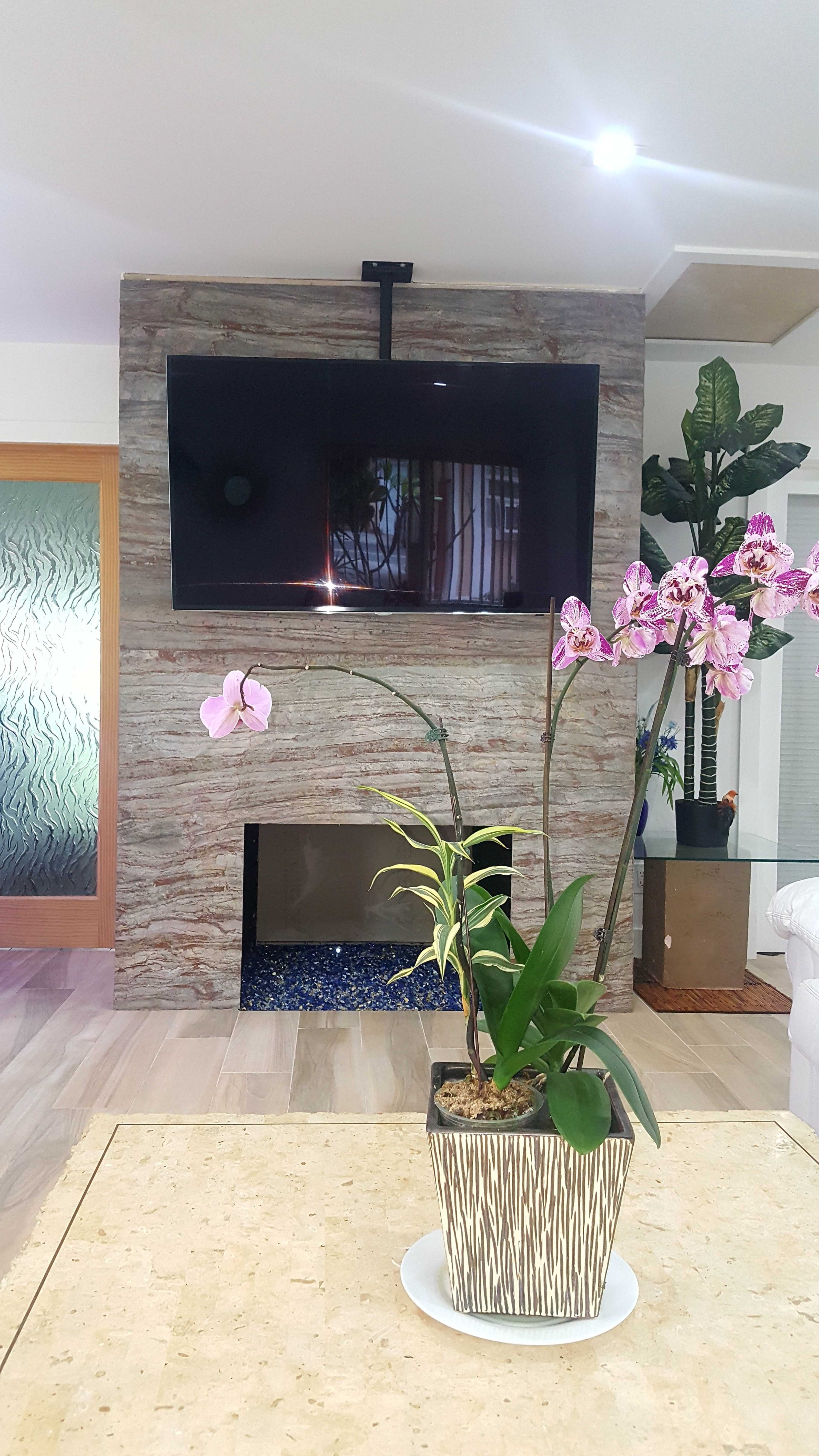 The image features a modern living room with a wall-mounted TV above a stone fireplace, complemented by a purple orchid plant on a coffee table.