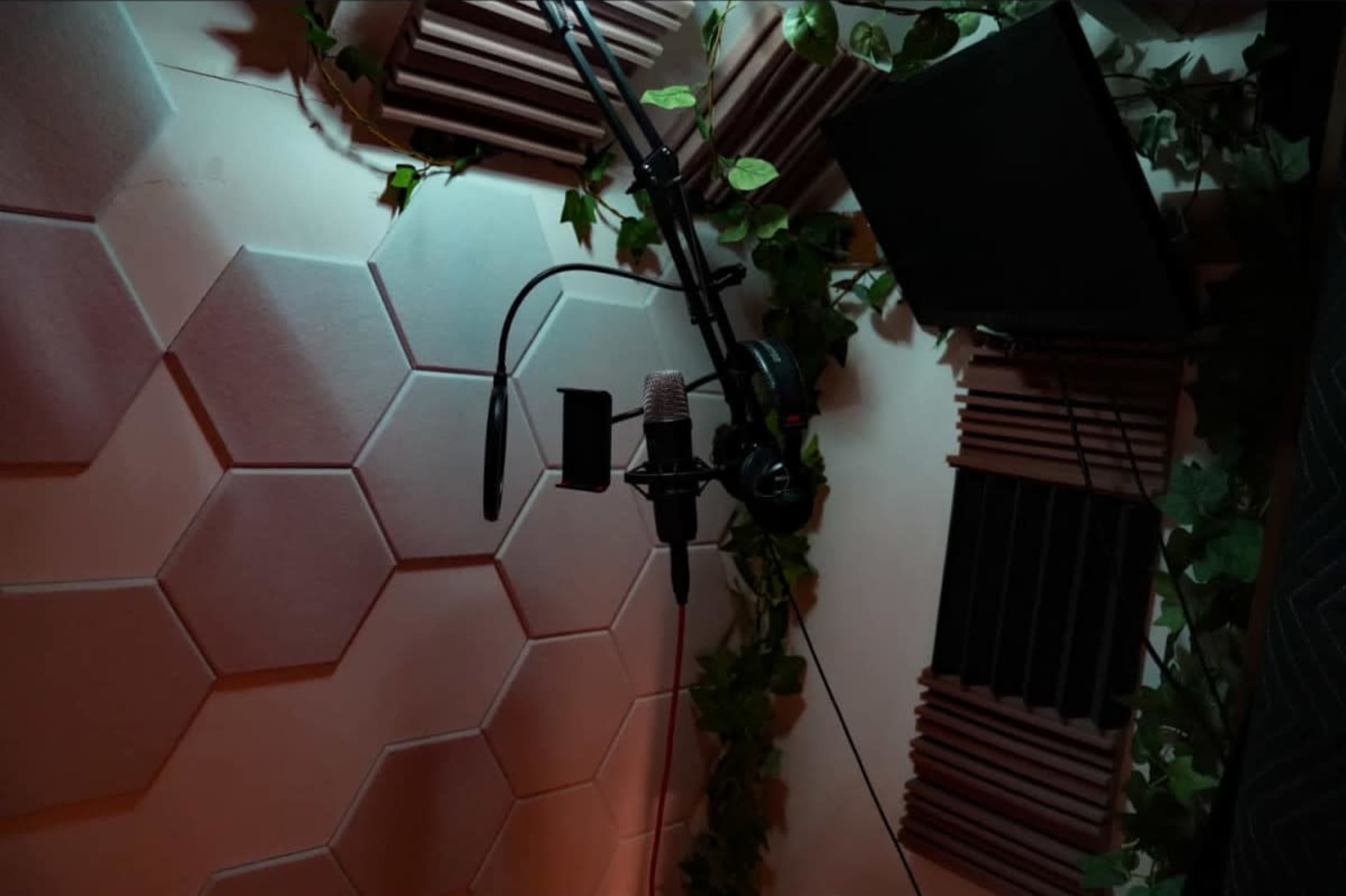 The image shows a recording studio corner with a microphone on a stand surrounded by soundproofing panels and green vines.