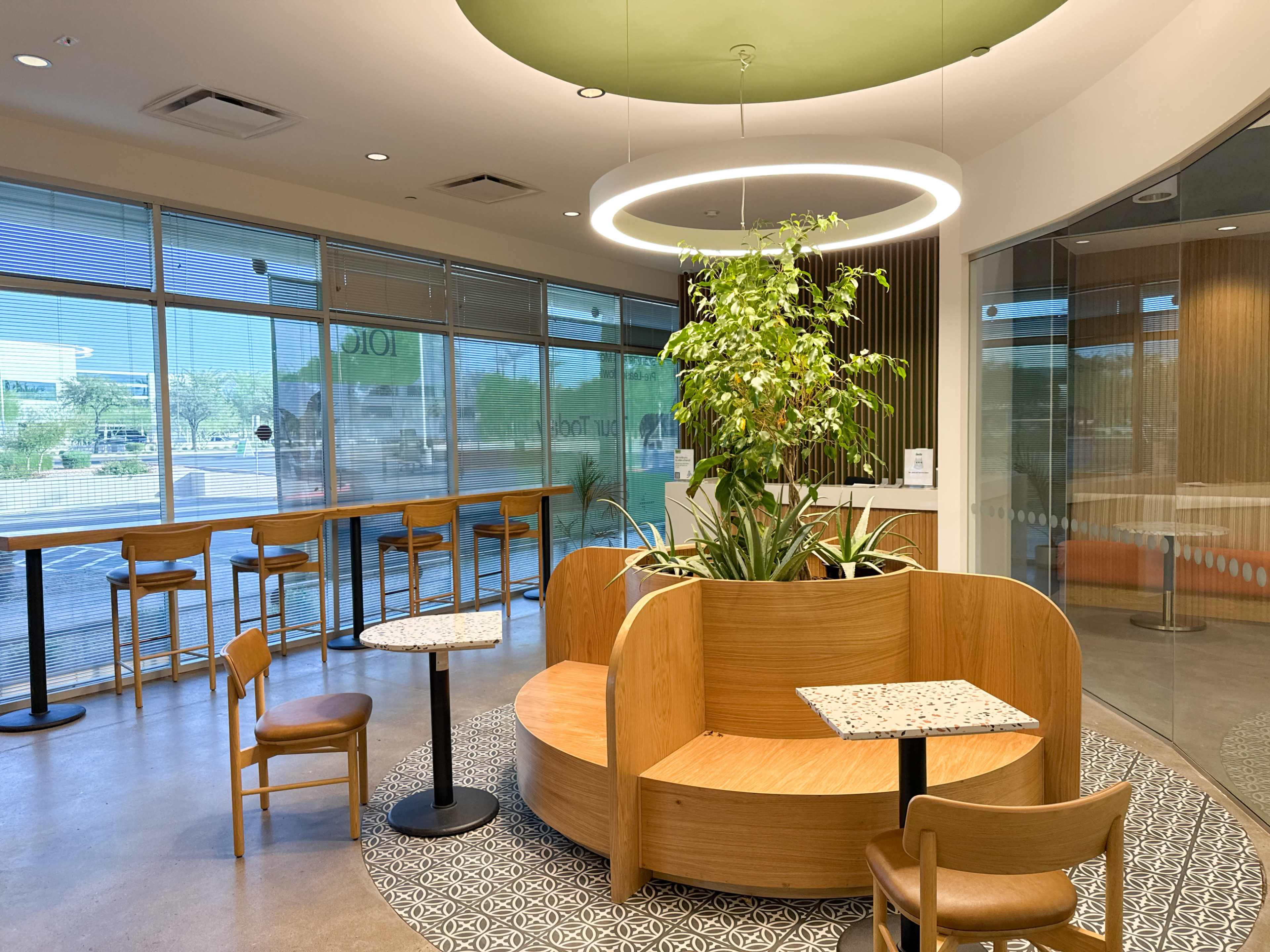 The image features a modern seating area in a café with wooden furniture, including tables and chairs, and a large indoor plant at the center.