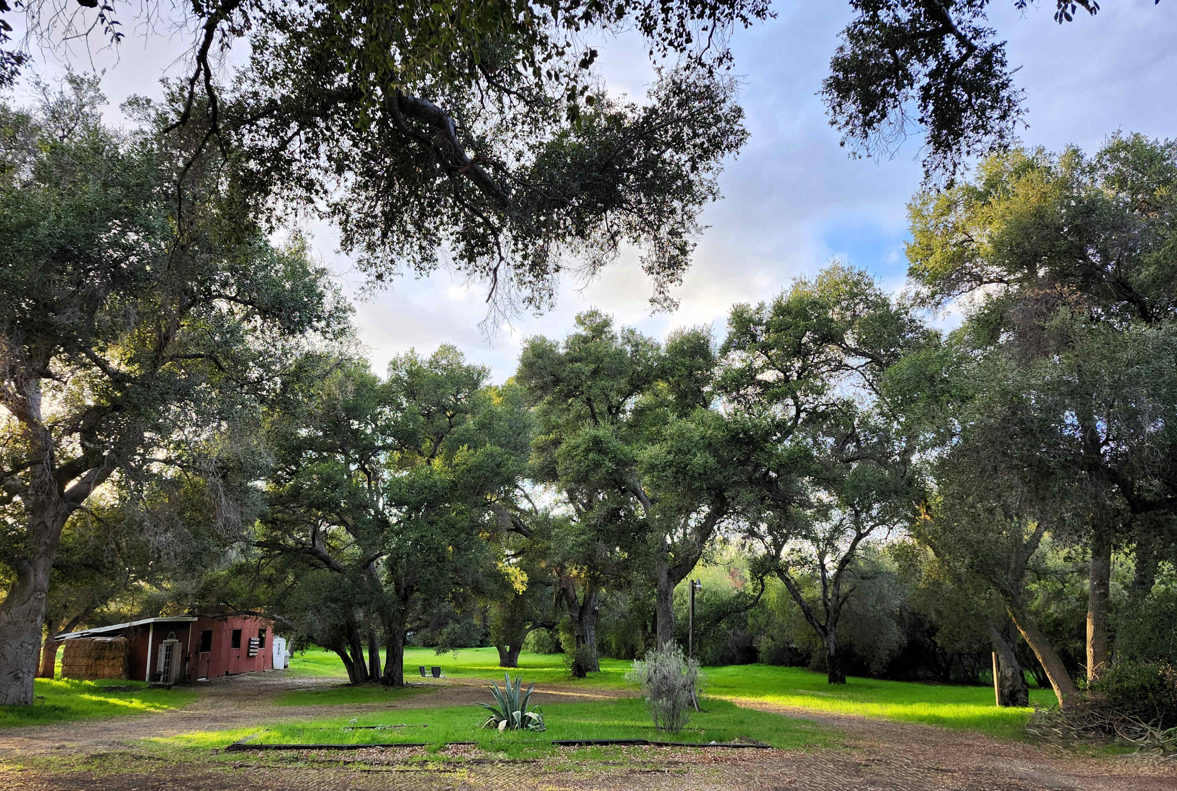 The image shows a grassy area surrounded by tall trees, with a small pink building visible in the background.