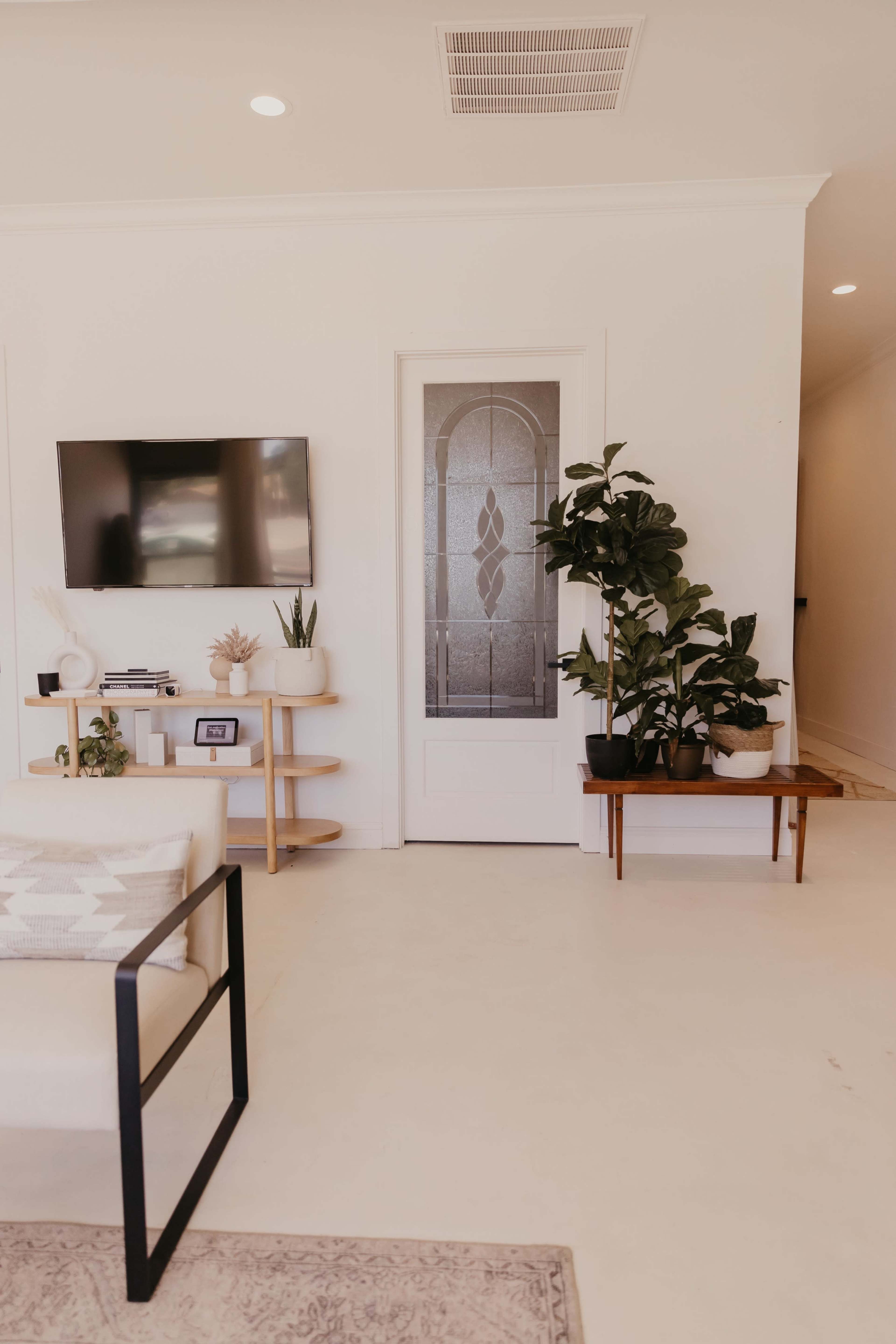 A modern living room features a television mounted on the wall, a glass-paneled door, and potted plants on a side table and shelf.