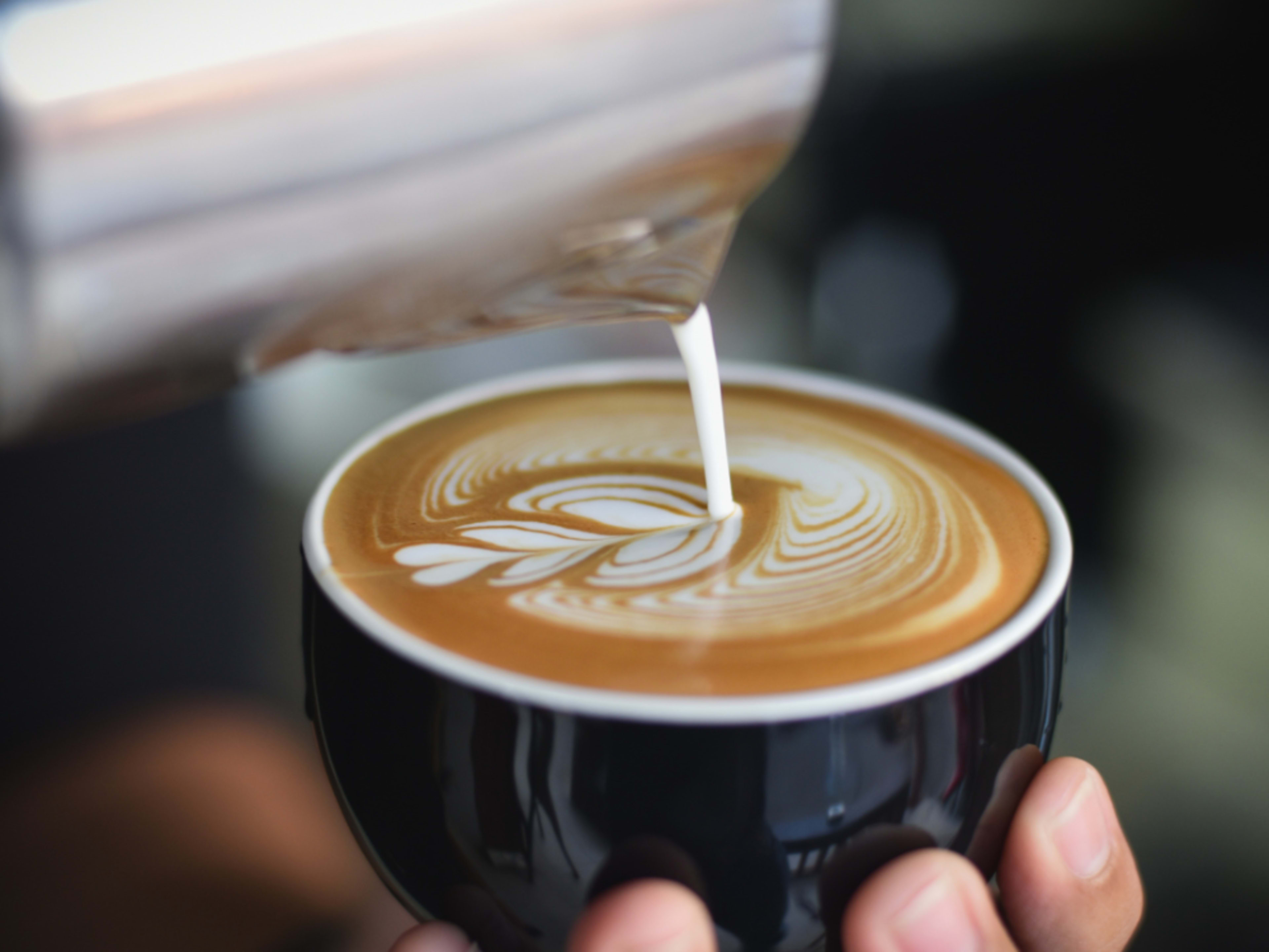 Half Day AM Catering