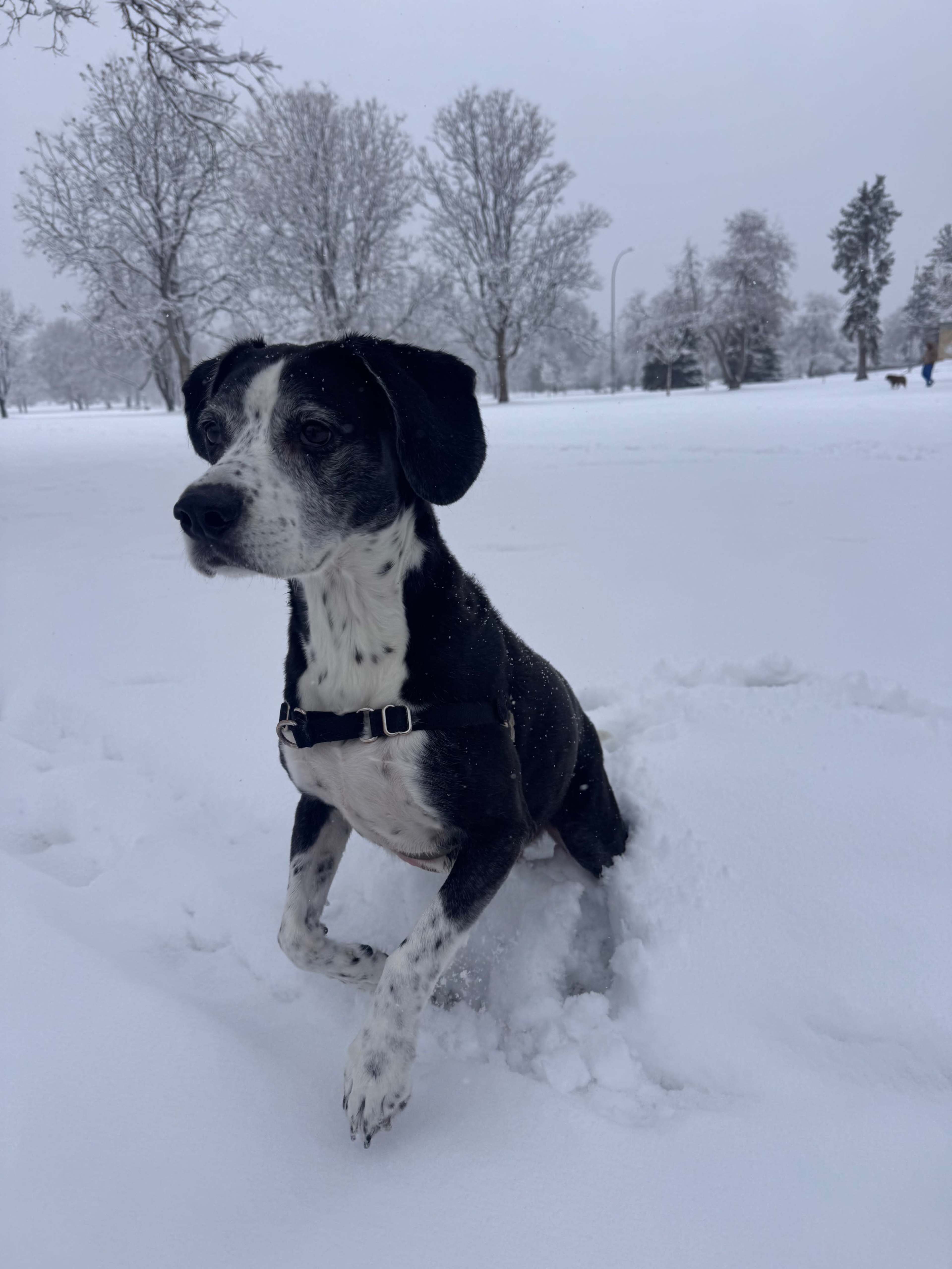 APARTMENT Image in Airport Heights Community Council, Anchorage, AK