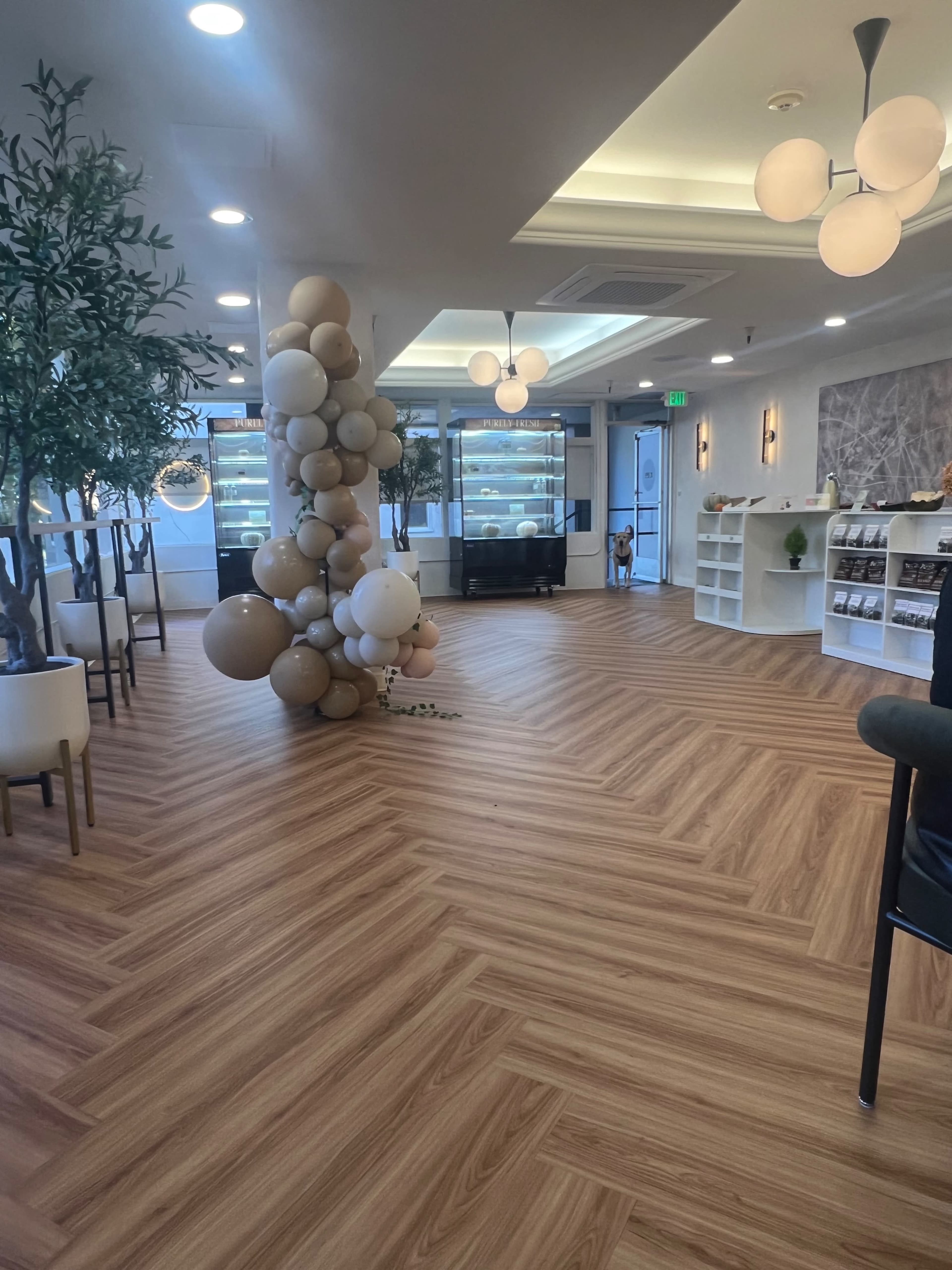 Warm & Bright Midtown Cafe Image in Midtown, Sacramento, CA