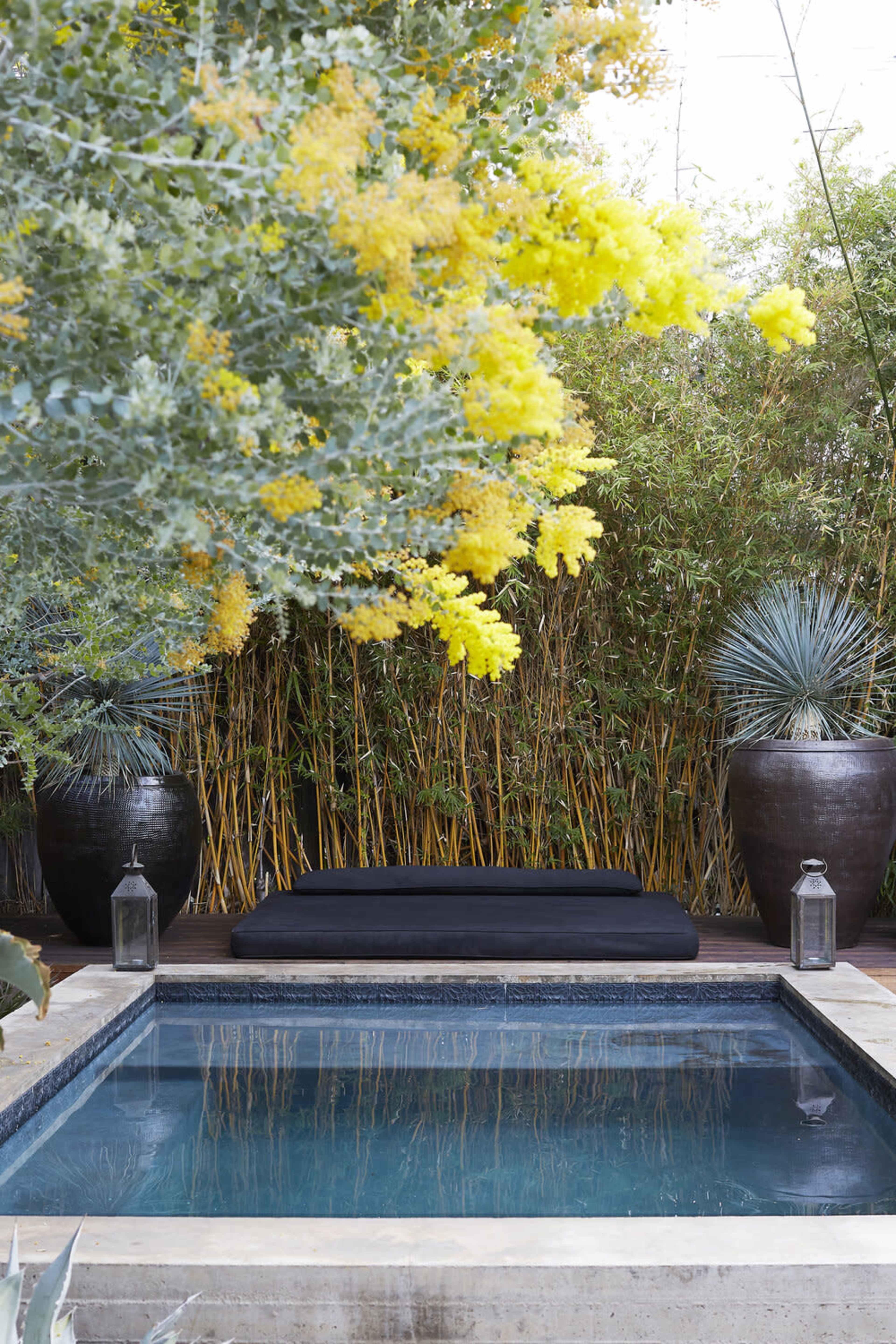 A serene outdoor space features a small, rectangular pool surrounded by lush greenery, including tall bamboo and flowering plants, with a black cushioned bench and decorative lanterns nearby.