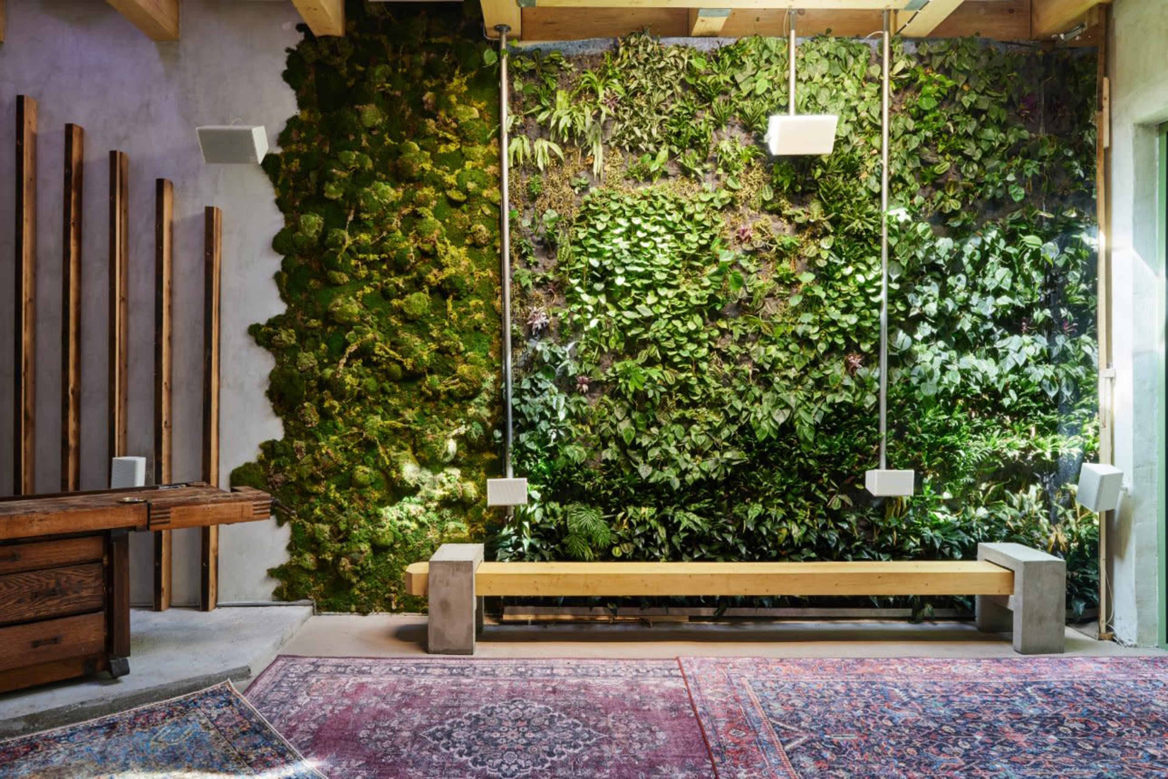 Sustainable and Serene Cafe in Williamsburg Image in Williamsburg, Brooklyn, NY