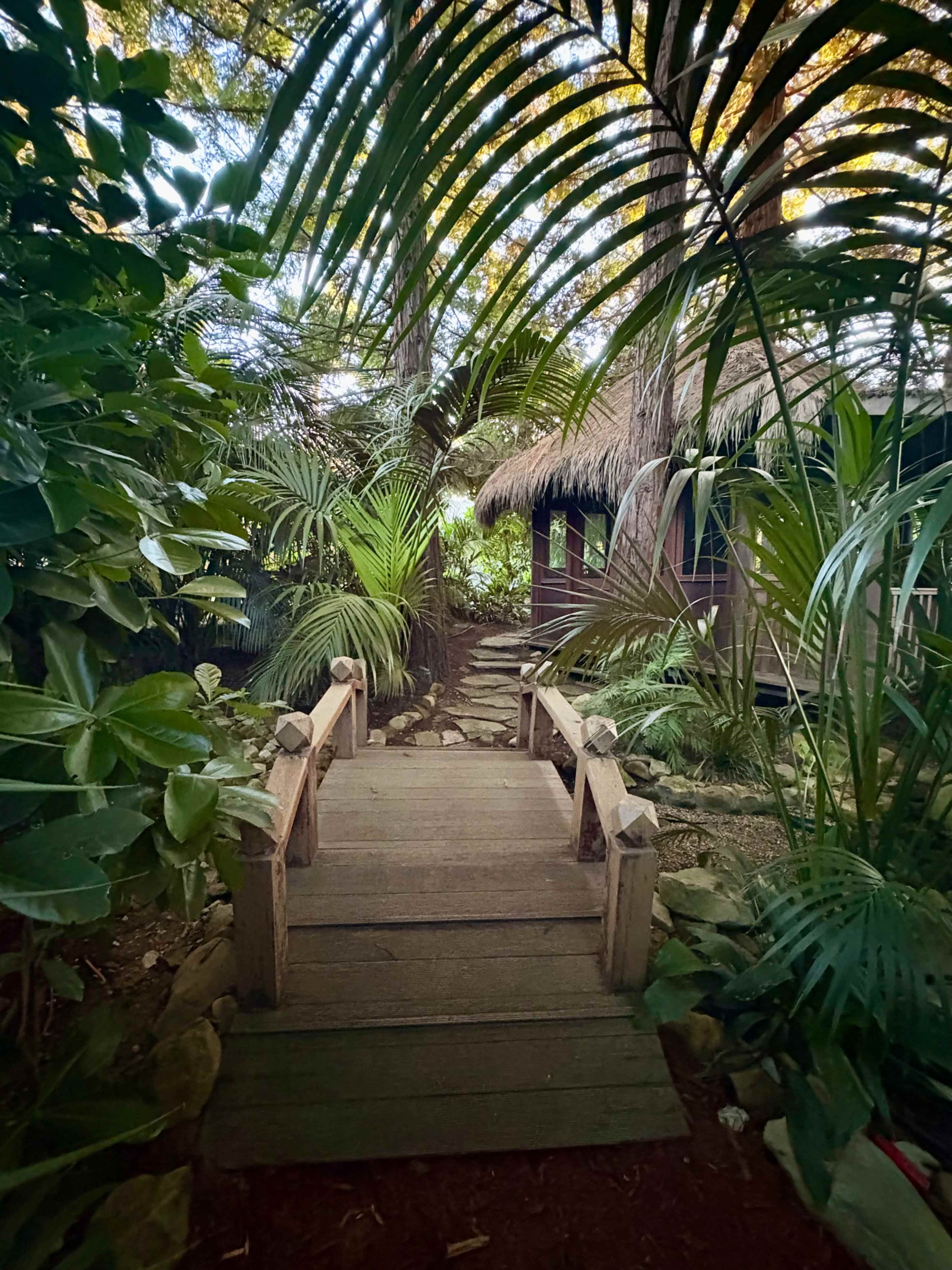 Lush Bali-Inspired Garden in a Redwood Grove Image in Montecito, Santa Barbara, CA