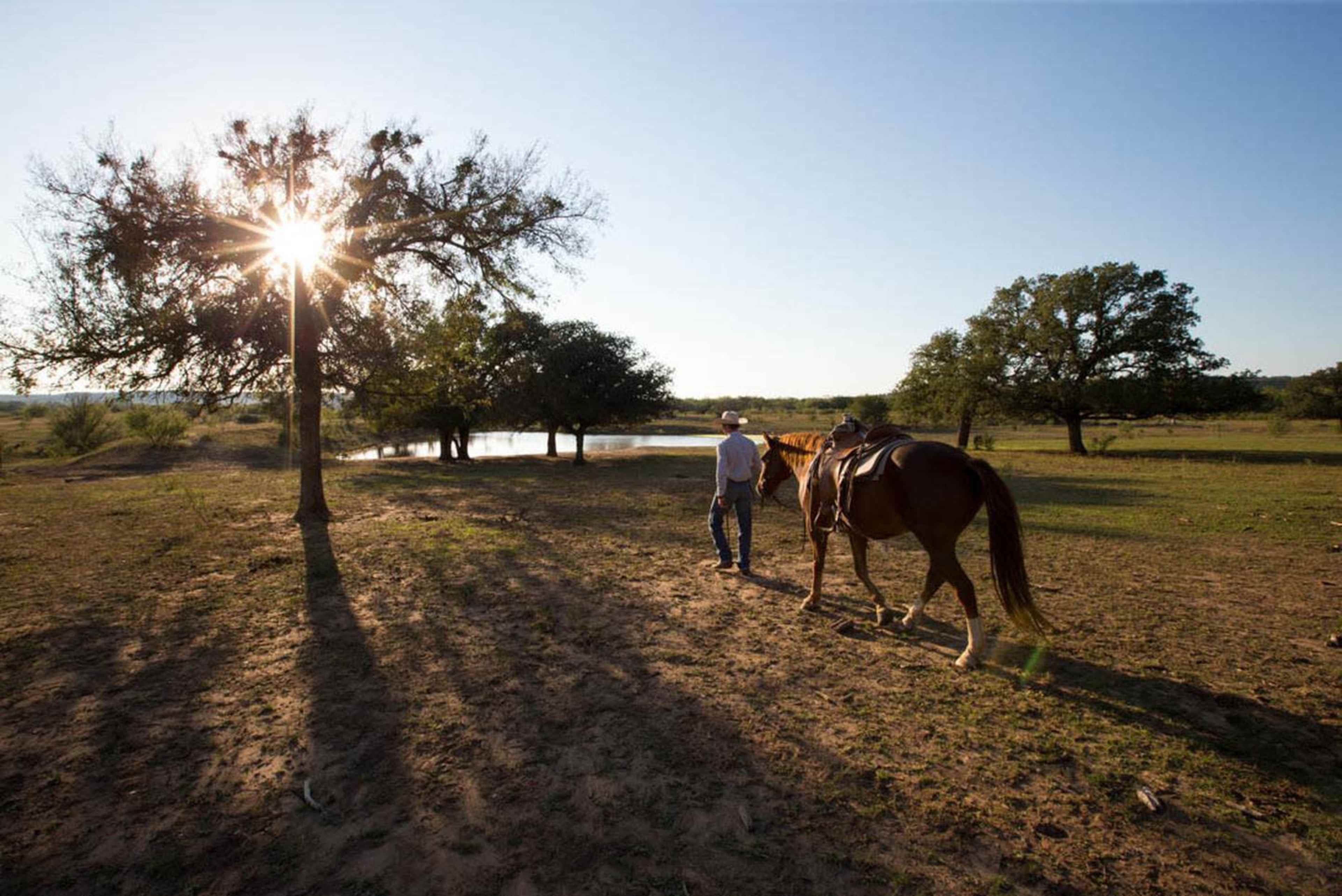 Working horse barn at Wildcatter Ranch Image in , Graham, TX