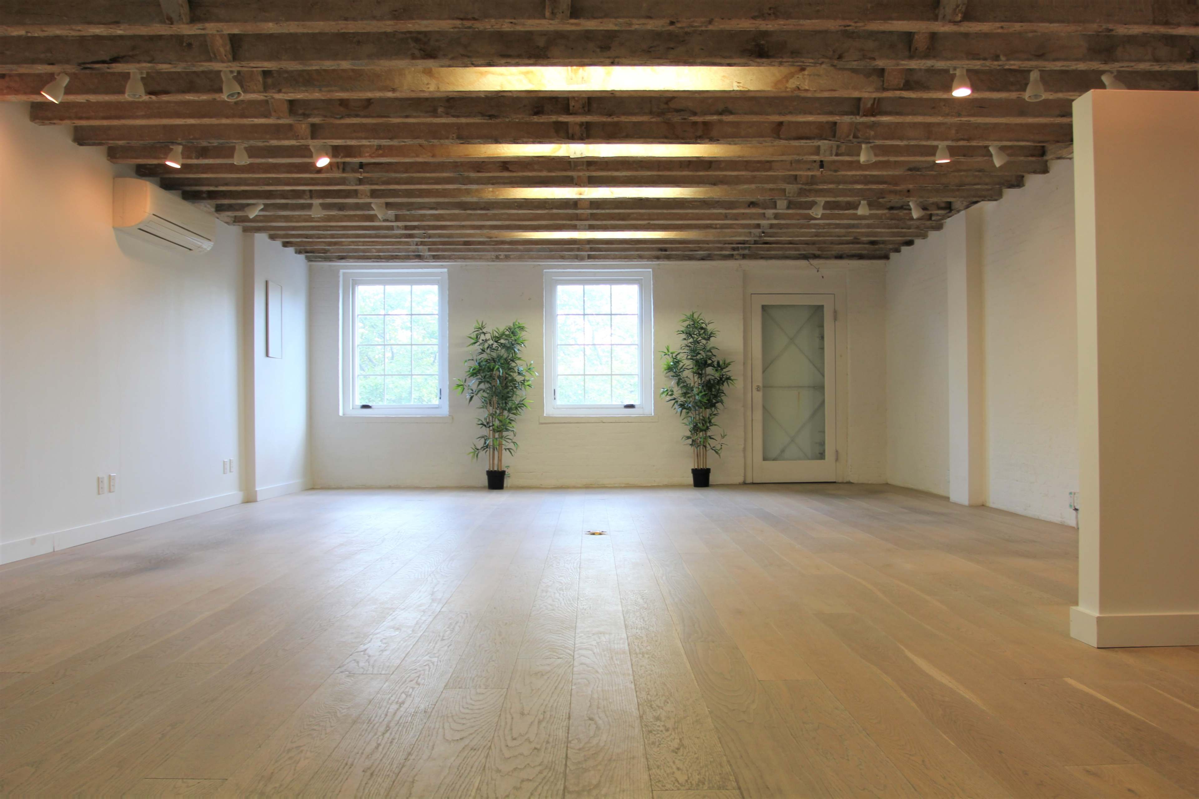 A spacious room with wooden beams overhead, two windows, and potted plants in the corners.