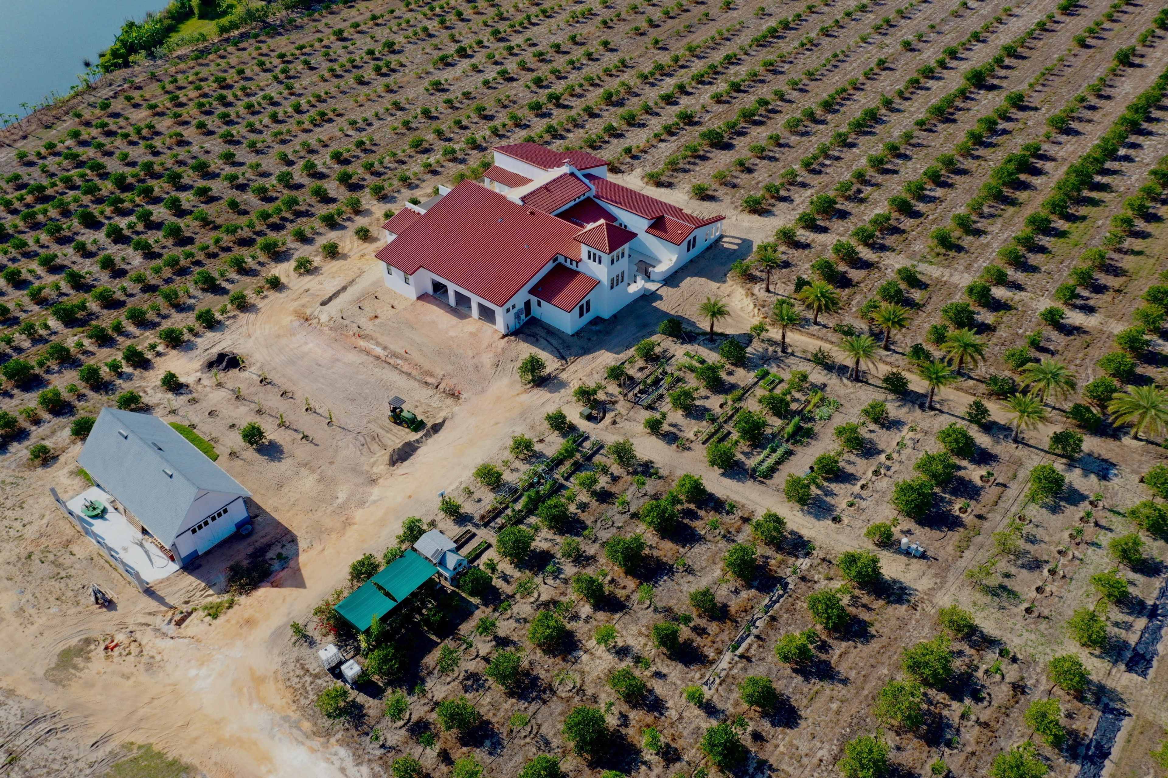 An aerial view shows a large house surrounded by rows of trees and a smaller building near a dirt path in a rural setting.