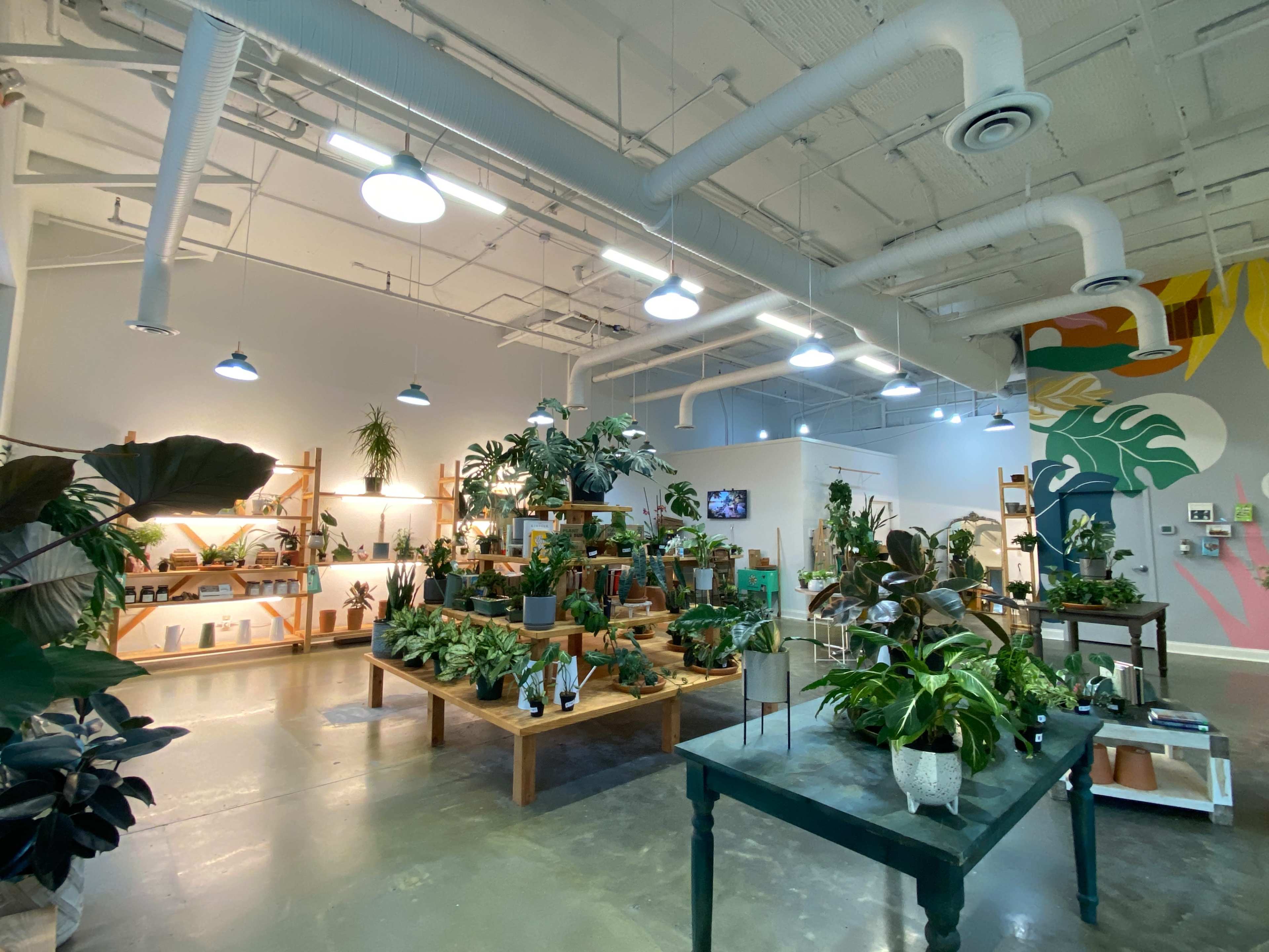 Smyrna/Vinings Charming Houseplant Shop Image in , Smyrna, GA